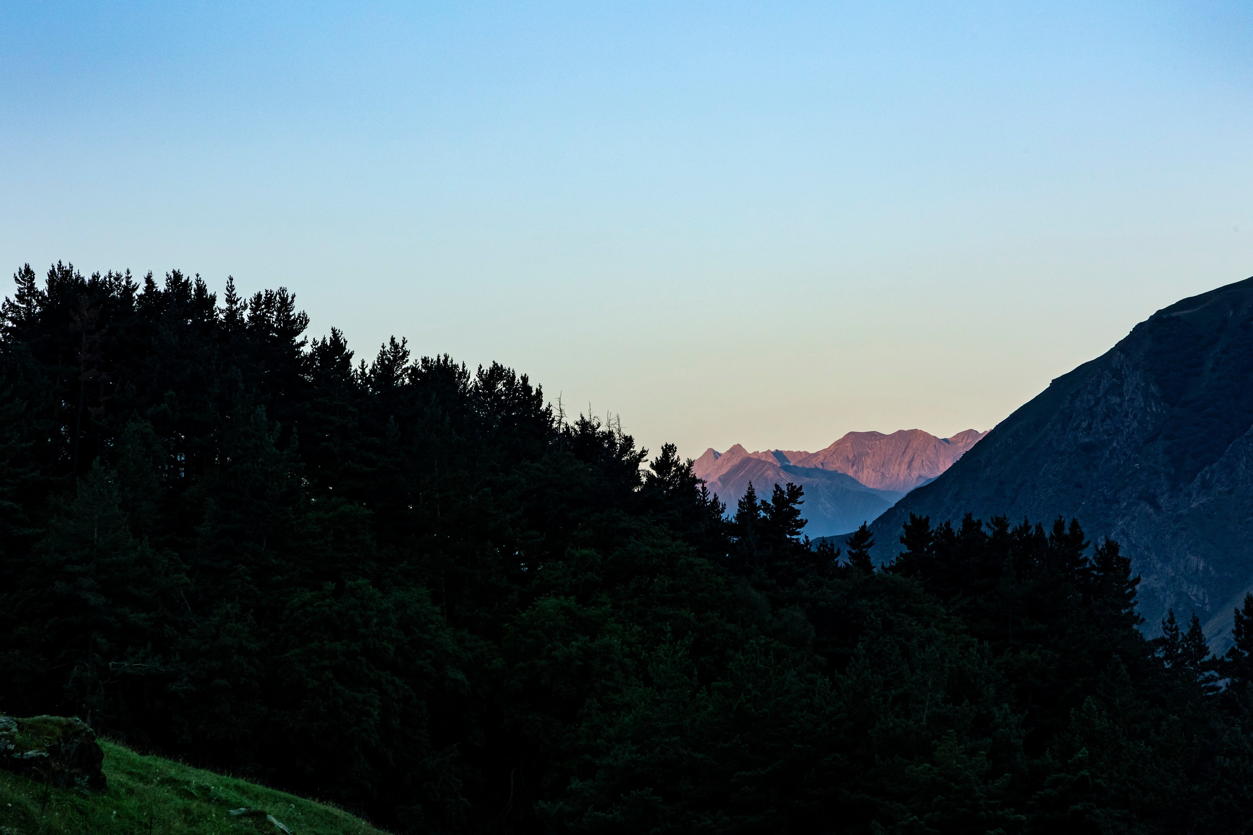 AUTHOR. XVVIO PHOTOGRAPHY