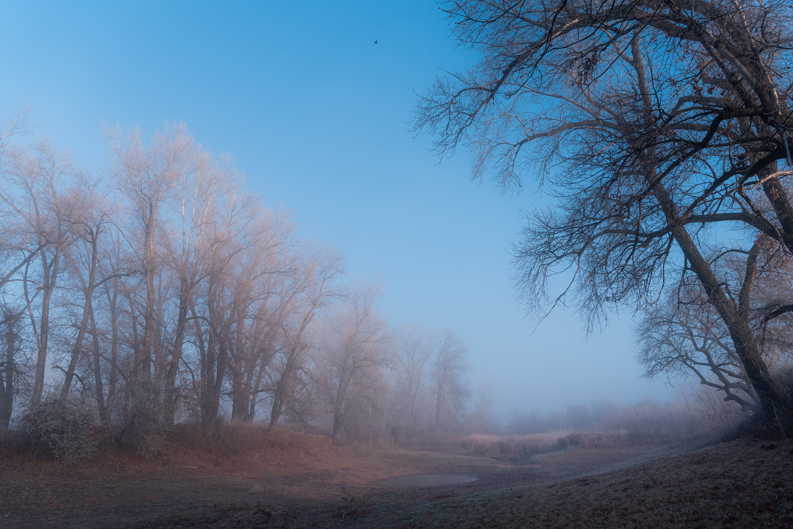 Фотографии утреннего тумана под Волжским. Фотограф в Волгограде и Волжском Александр Горбань