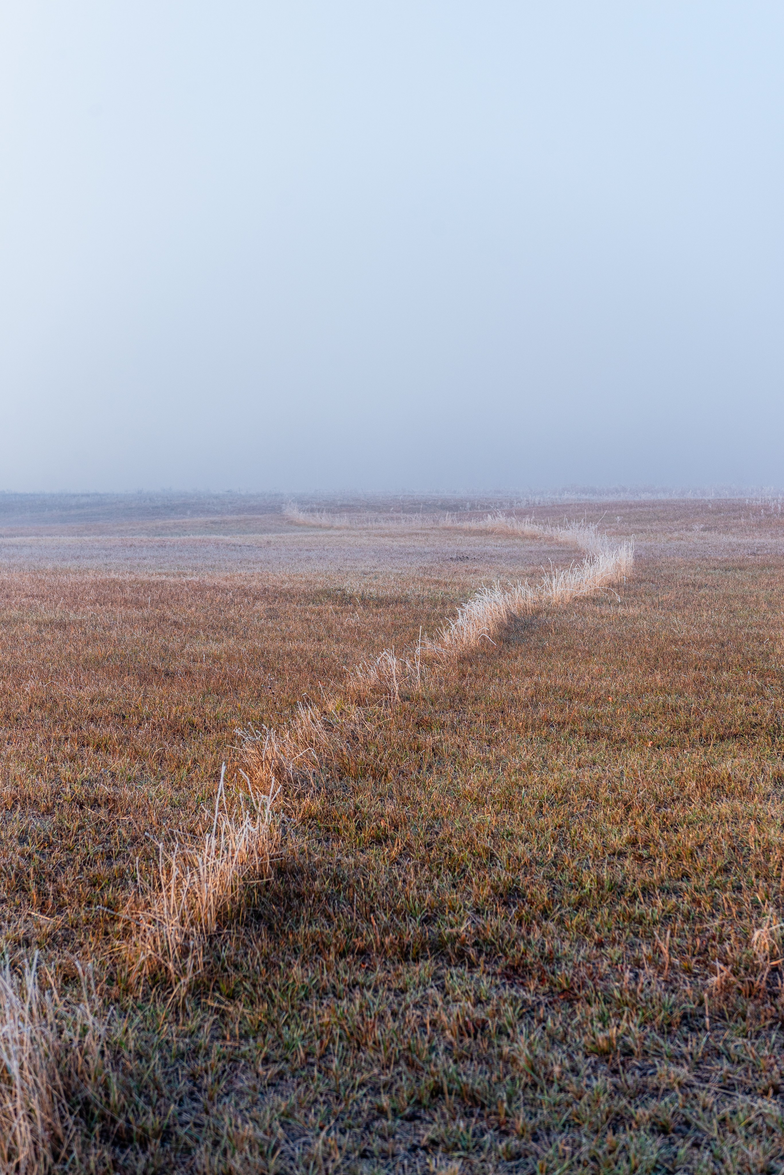 Фотографии утреннего тумана под Волжским. Фотограф в Волгограде и Волжском Александр Горбань