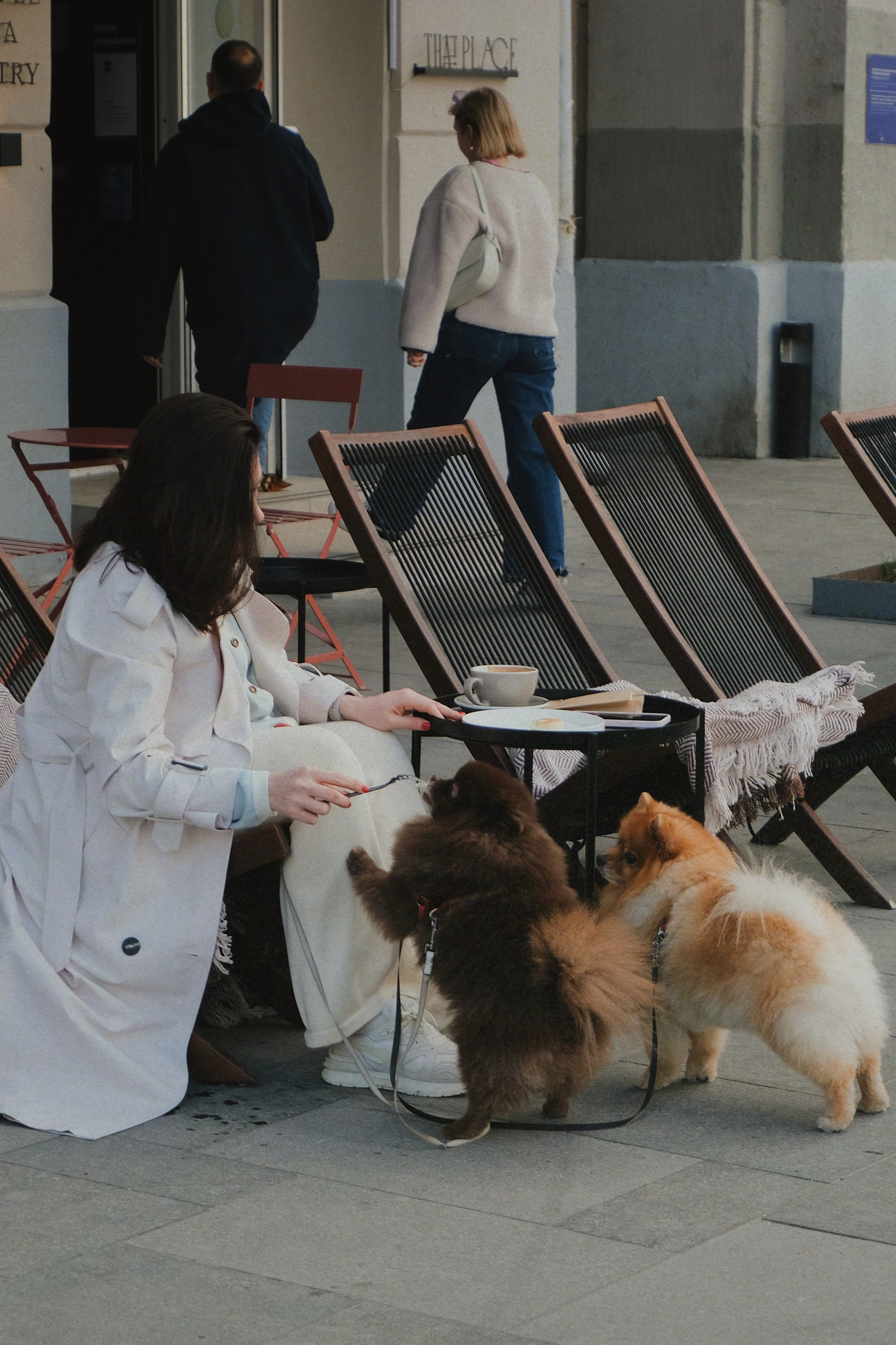 Питомцы. Татьян гертье