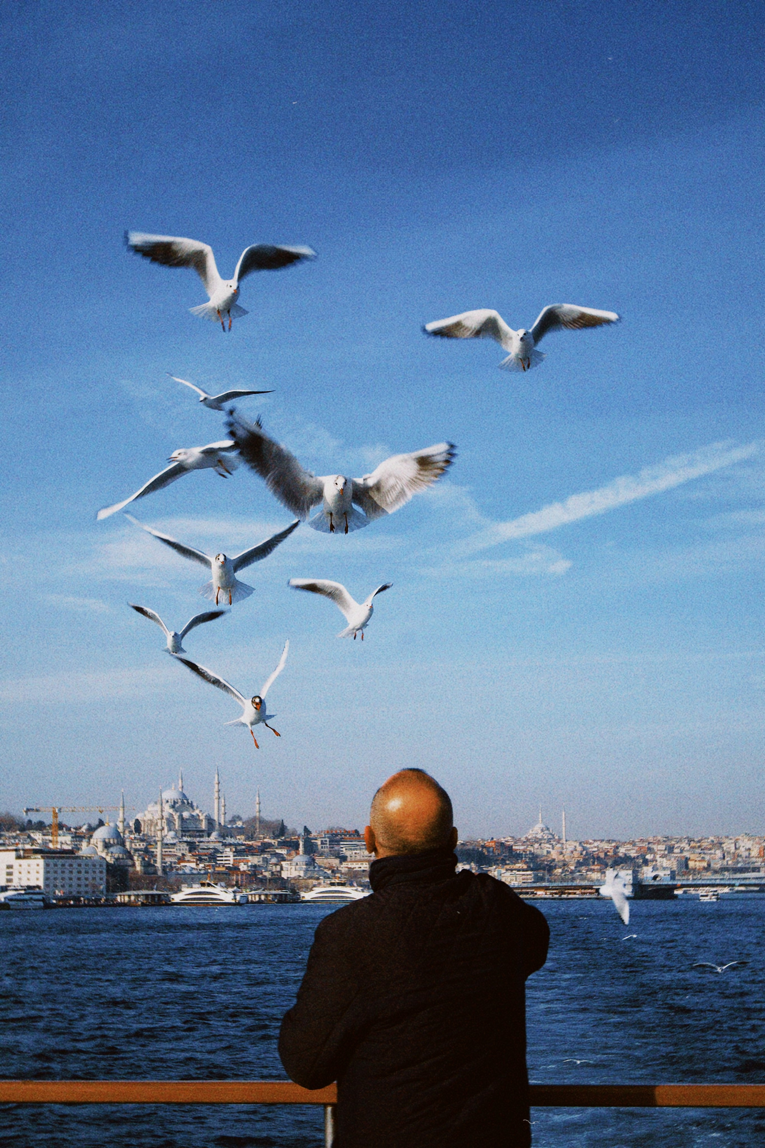 Стамбул. Татьян гертье