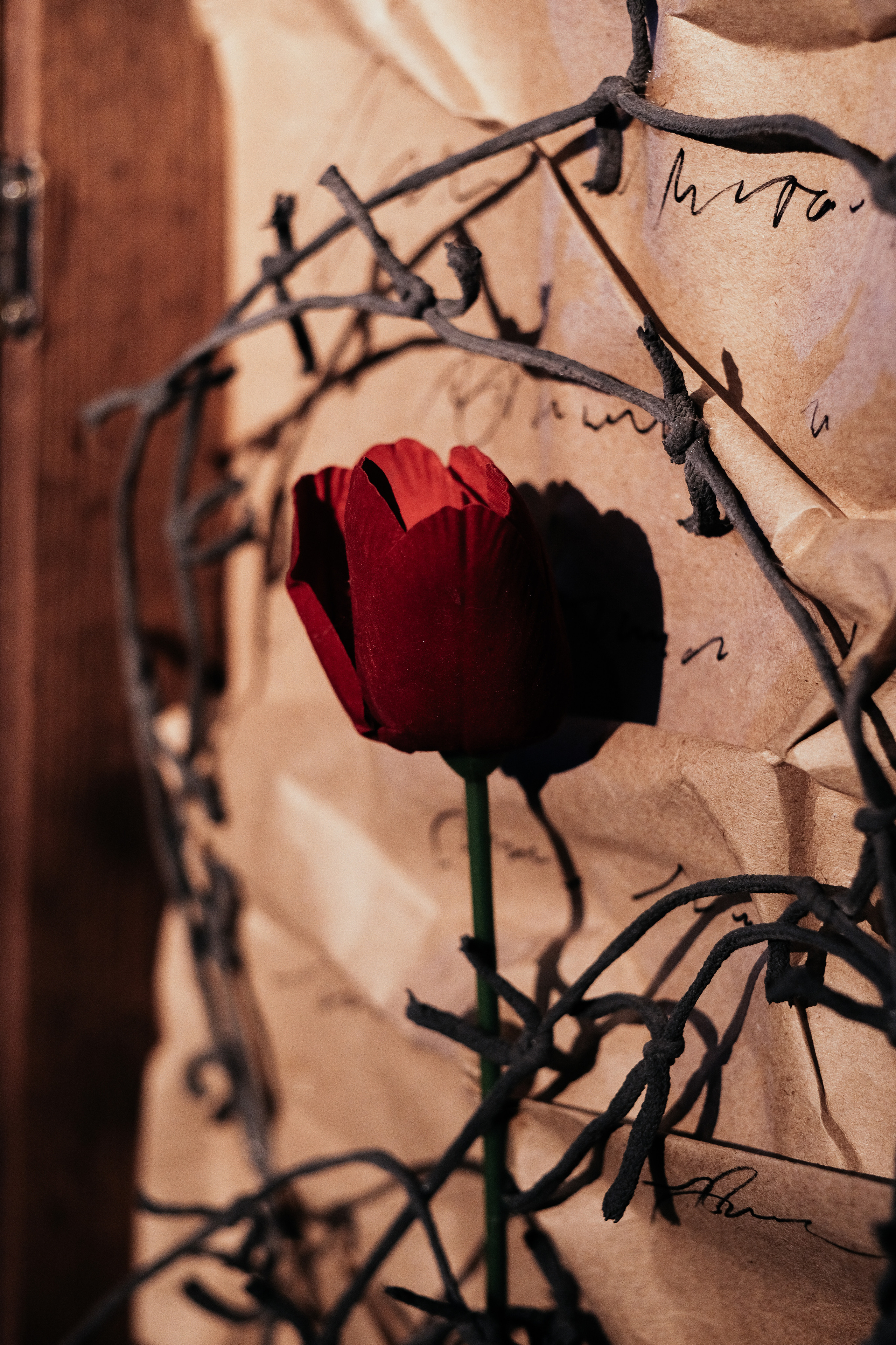 Театр. Фотограф и видеограф в Тюмени Анна Жагорина, ваши фото еще не отдавали так быстро!