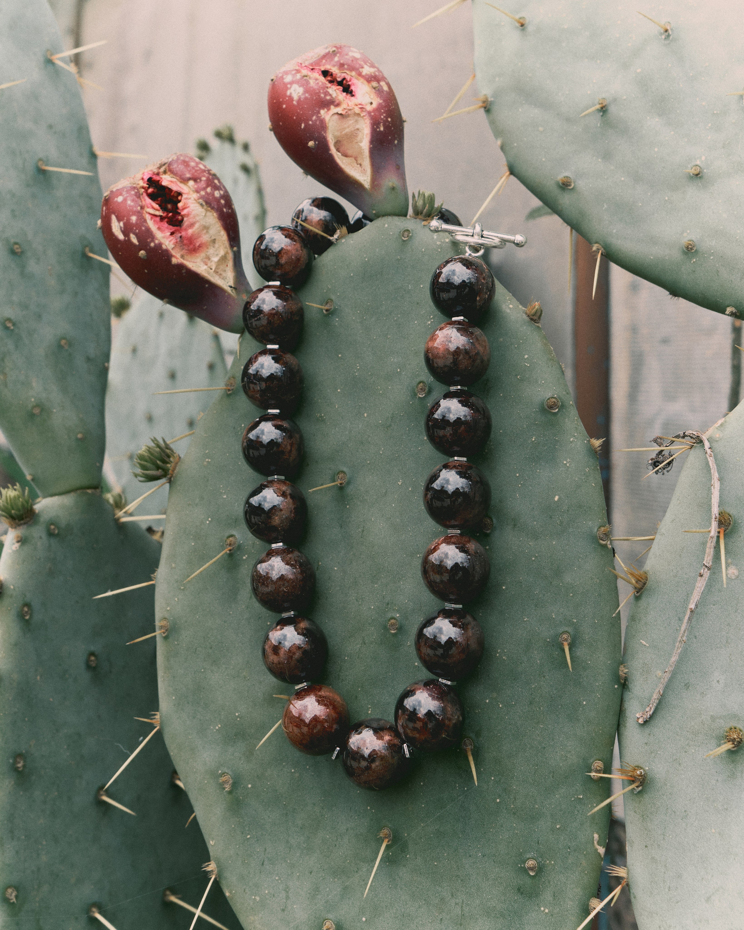 Content for OMNIS. DISEMICHASNOVA