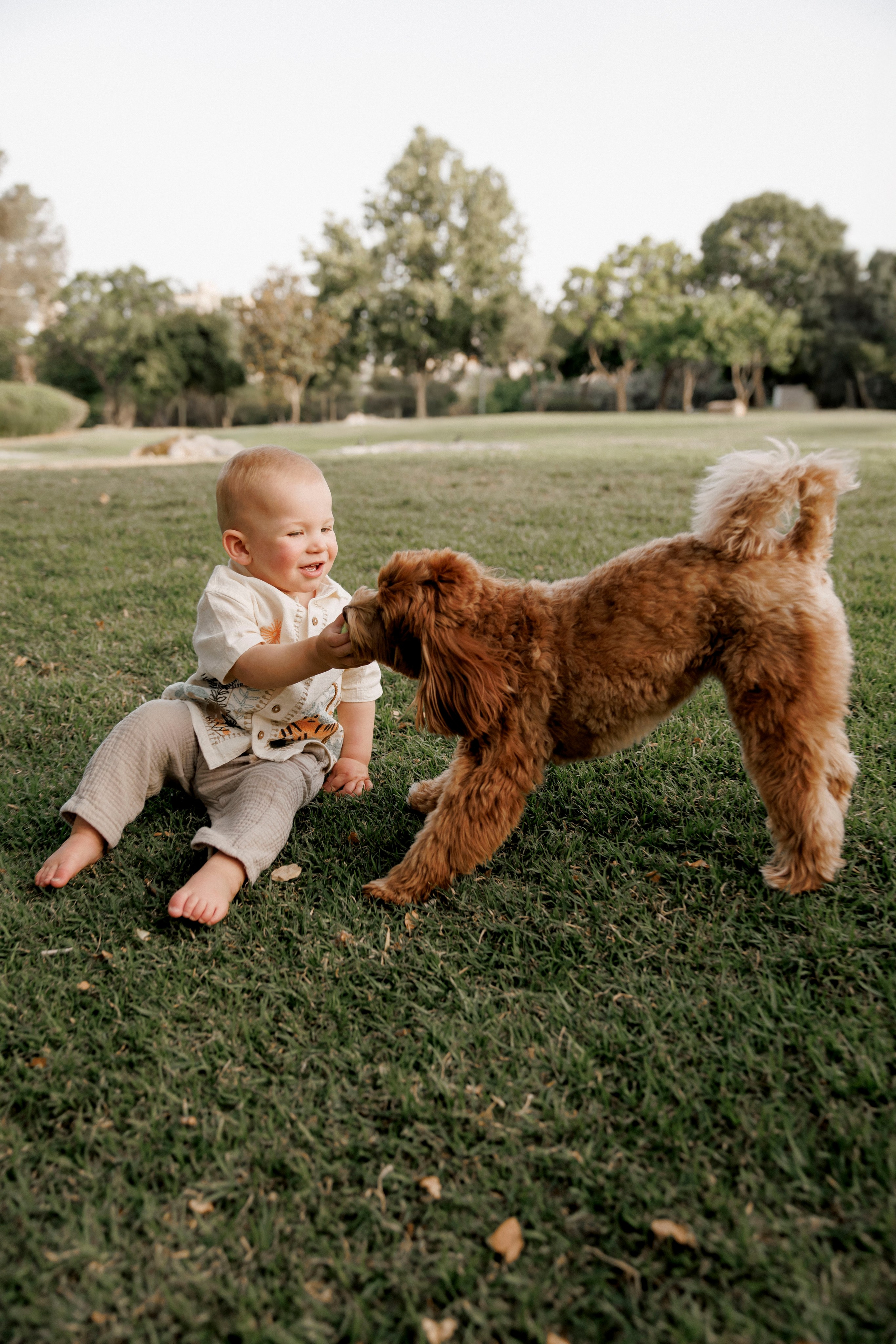 One year old at home. Wedding and family photographer