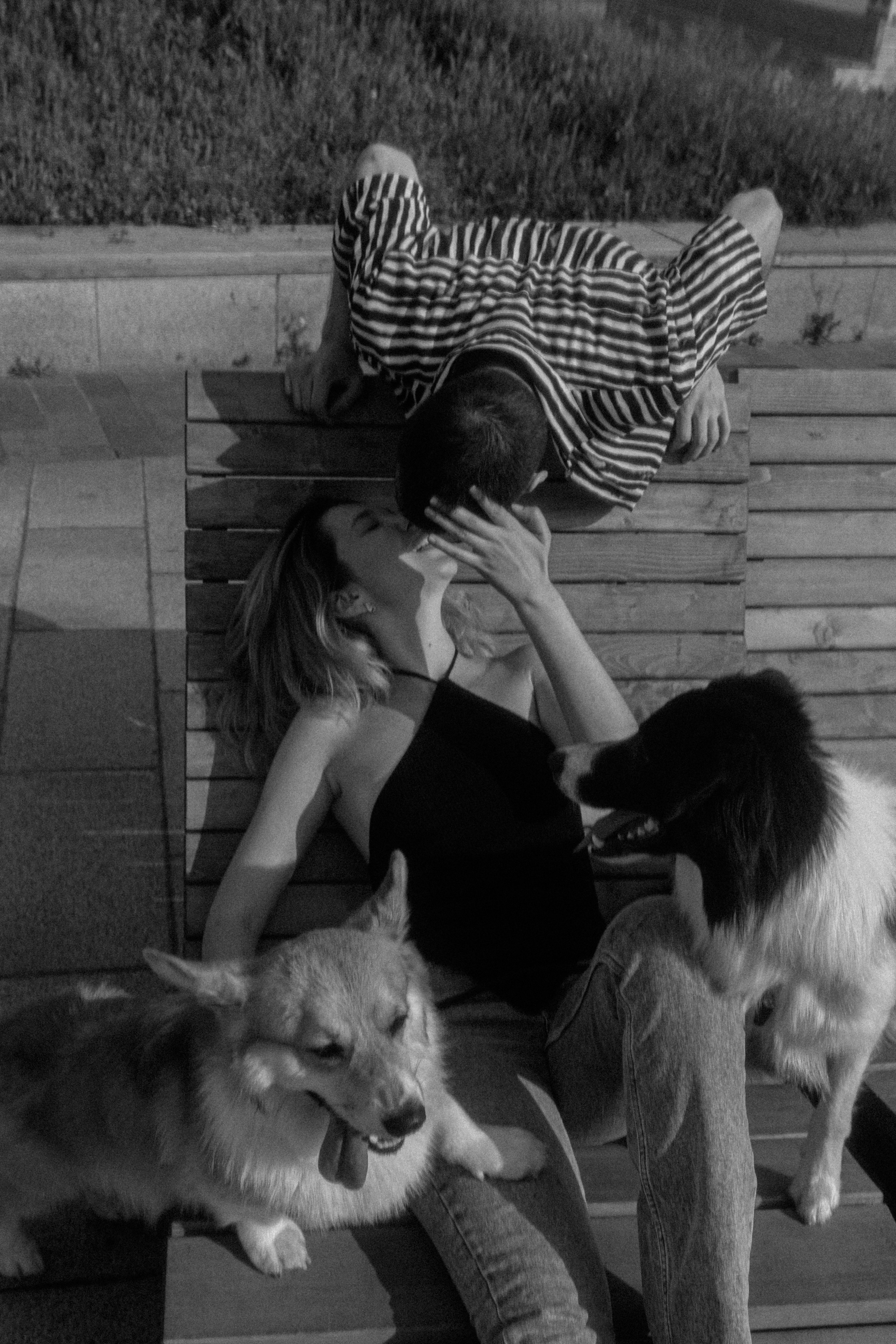 Брюс, Вейв и их ро. Фотораф — анималист Мария Шистка