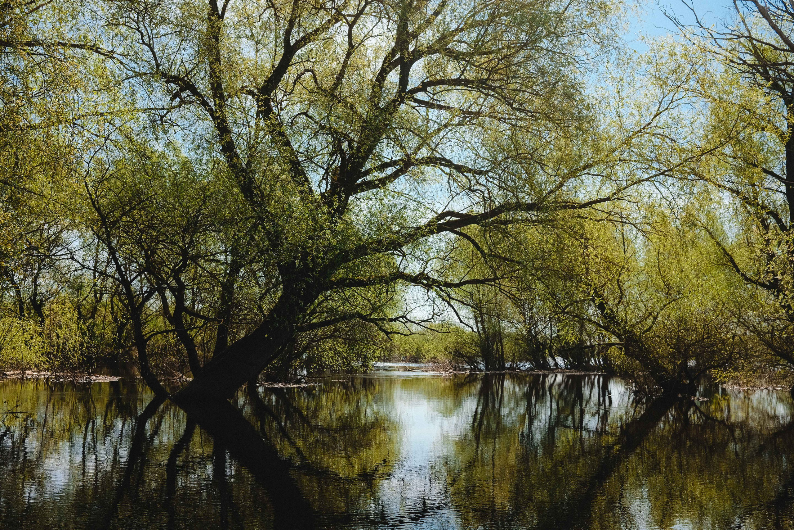 2023.05. Фотограф Алексей Алексеев