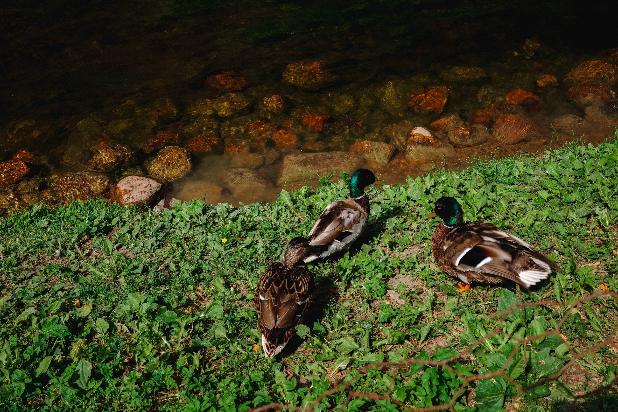 2024.06. Фотограф Алексей Алексеев