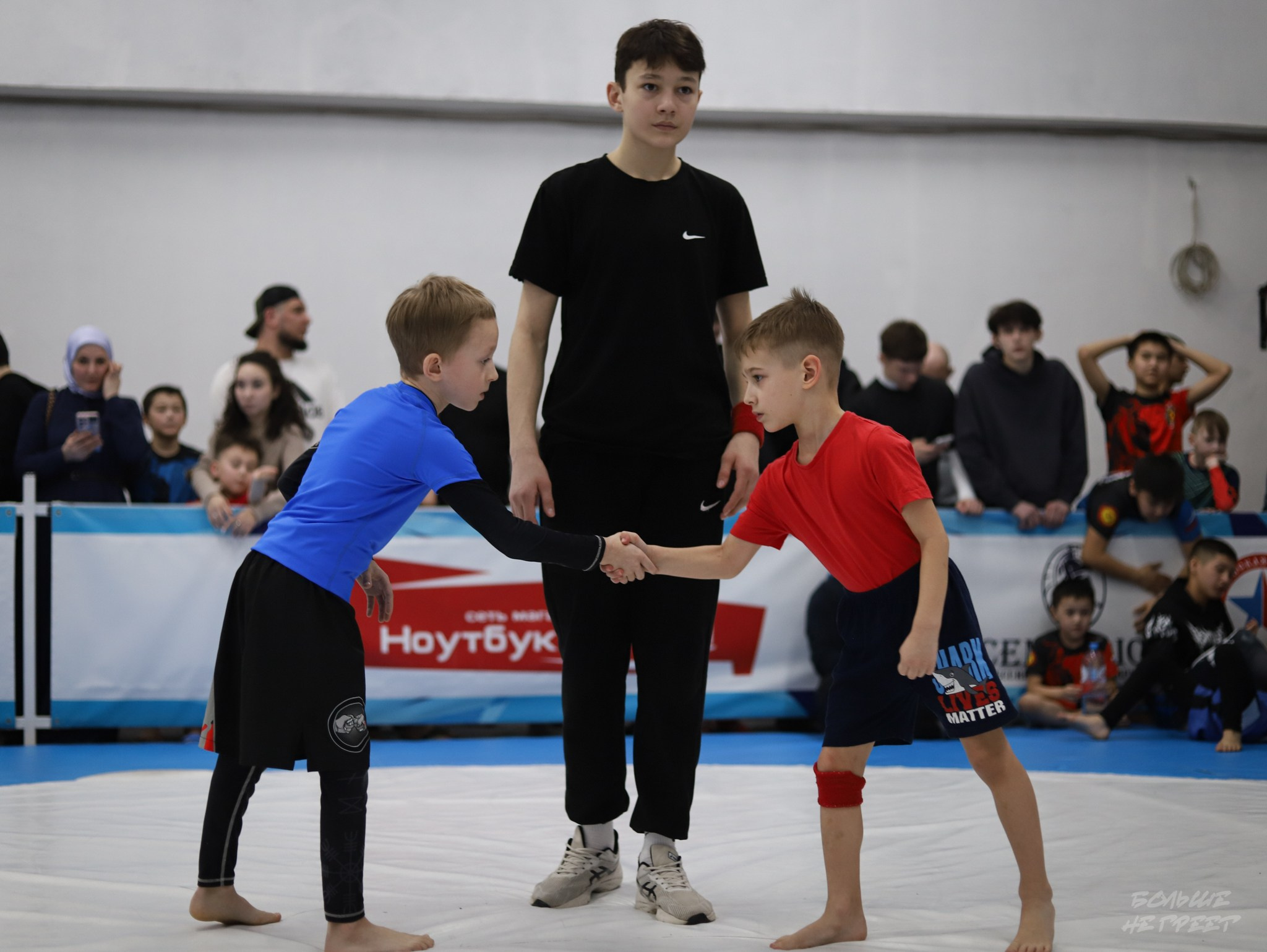 GORILLA PRIDE CUP. Больше не греет