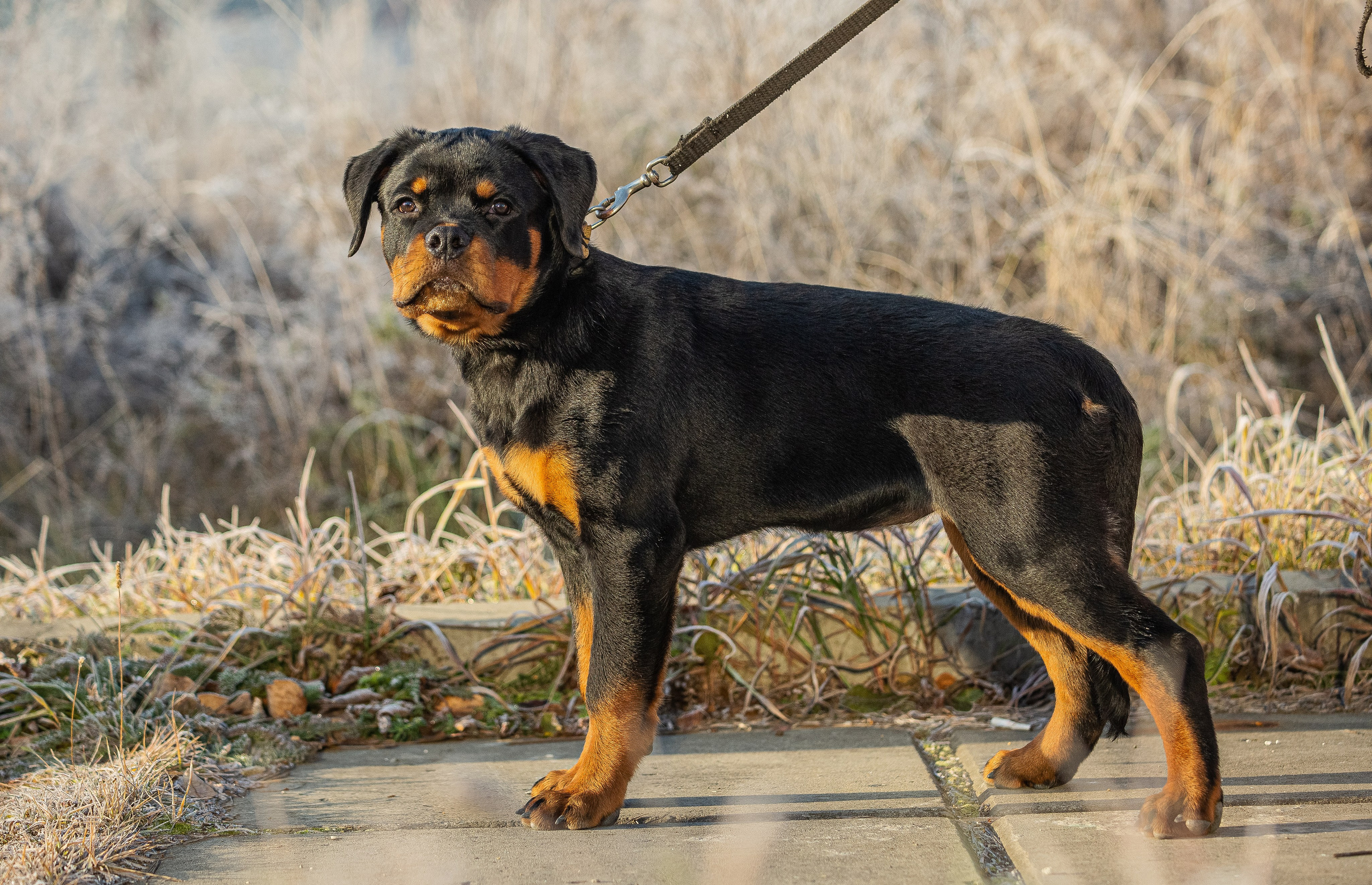 Животные. Авторские туры с профессиональным фотографом