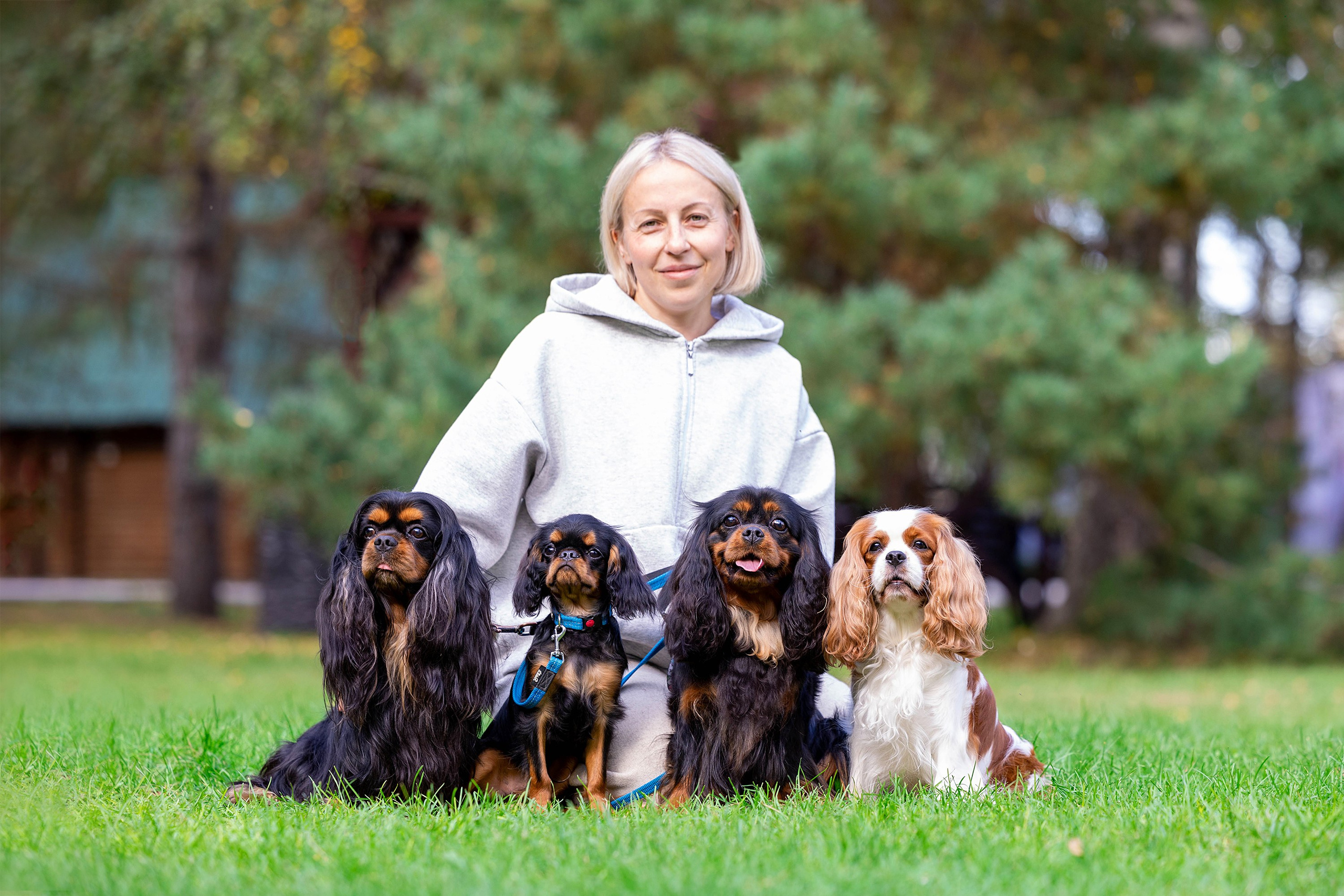Заринговая съёмка на выставках собак. Фотограф-анималист в Омске Екатерина Маричева