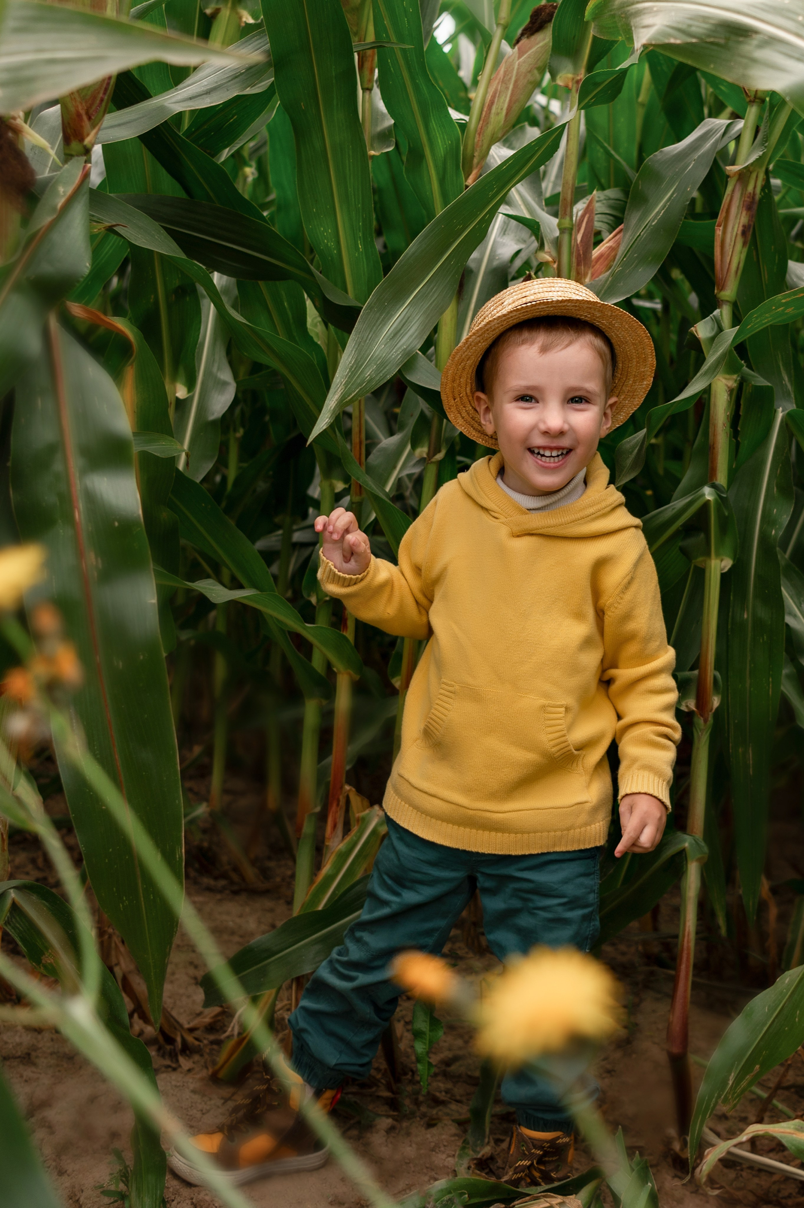 фотосессия в кукурузе