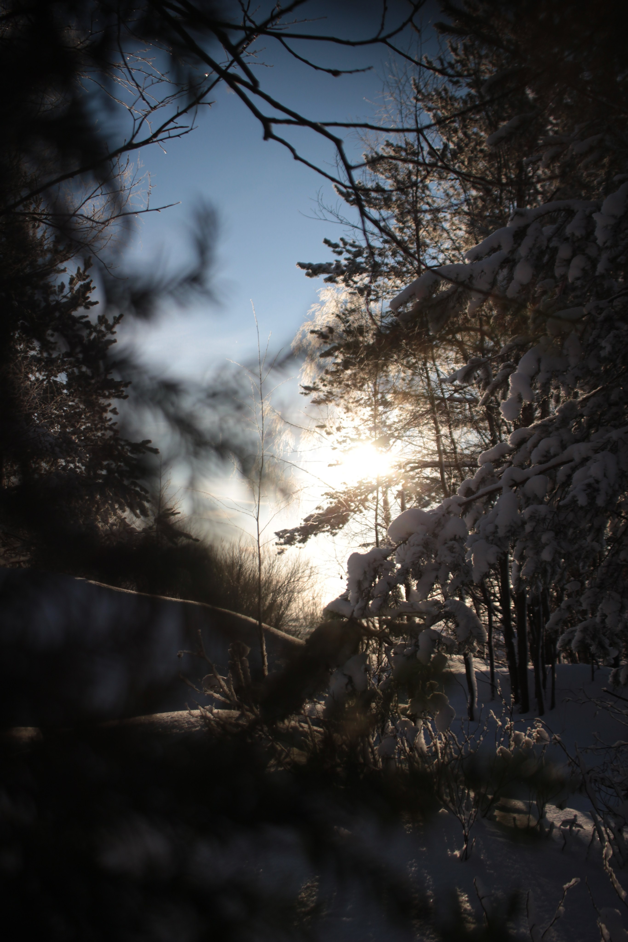 Пейзаж. Творческий фотограф в Санкт-Петербурге | Саша Трапезникова