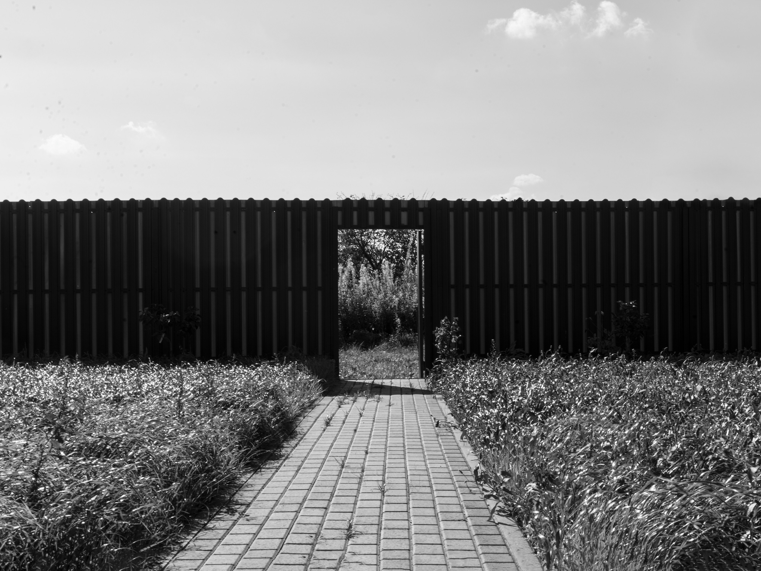 Портфолио. Творческий фотограф Ирина Баландина.  Санкт-Петербург, Мурманск