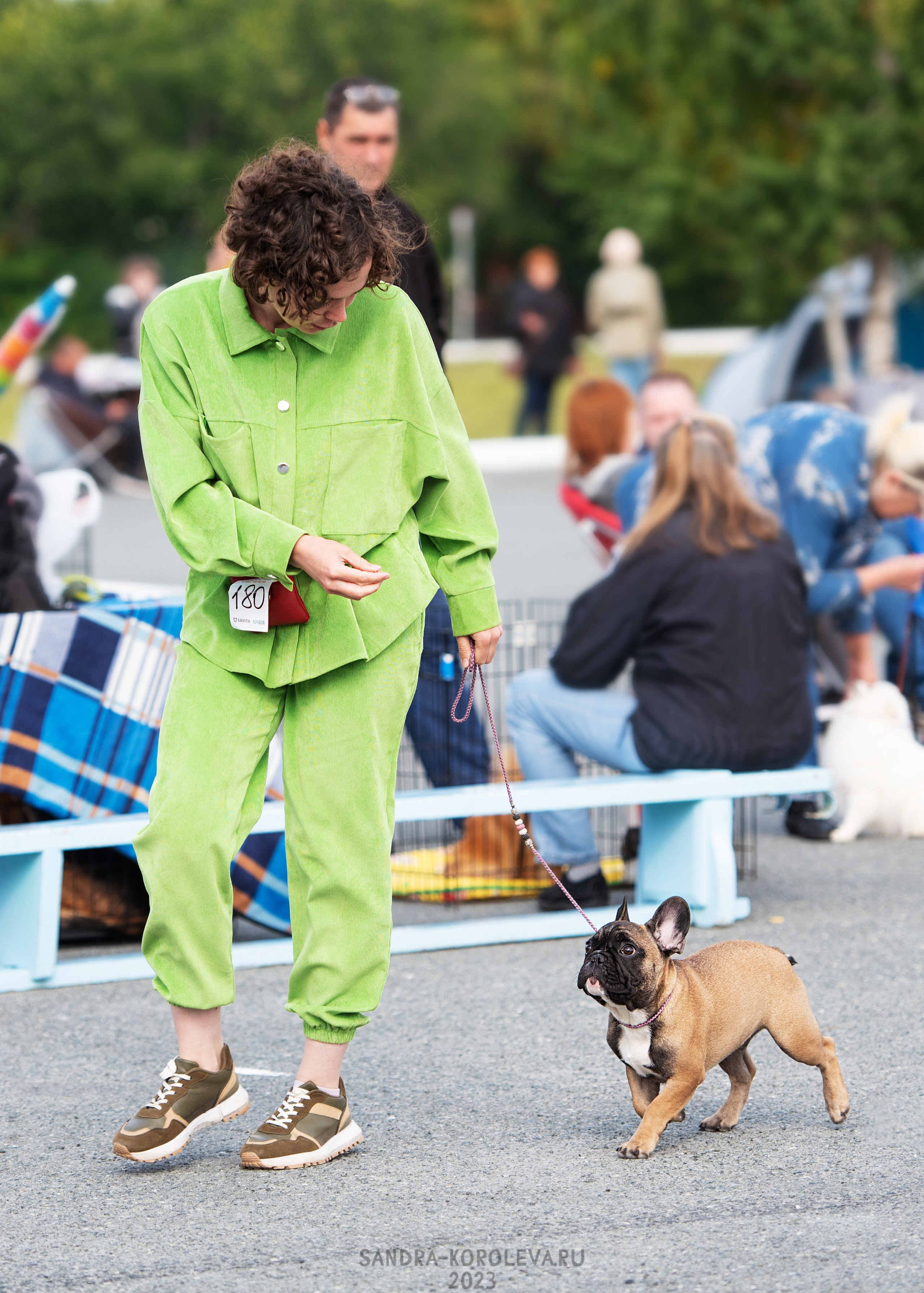 Выставка собак Тюмень 02.09.2023. Дог-фотограф в Тюмени Александра Королева