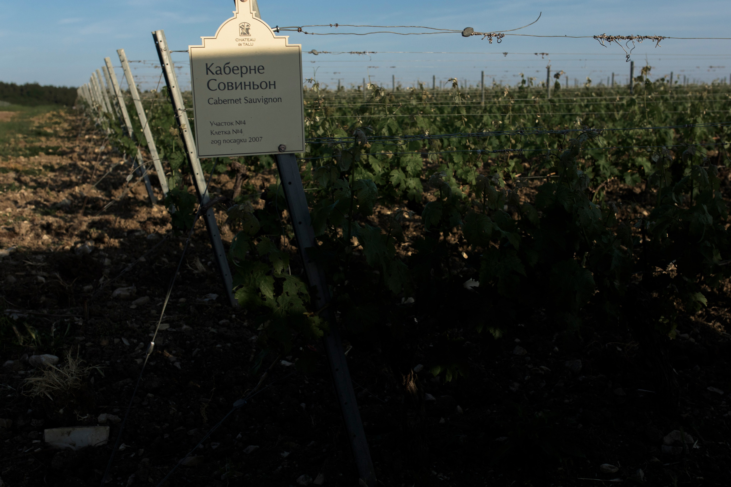 Все без тебя не-так! (Ариша & Дима). Wed Photographers 📷 Saint Petersburg