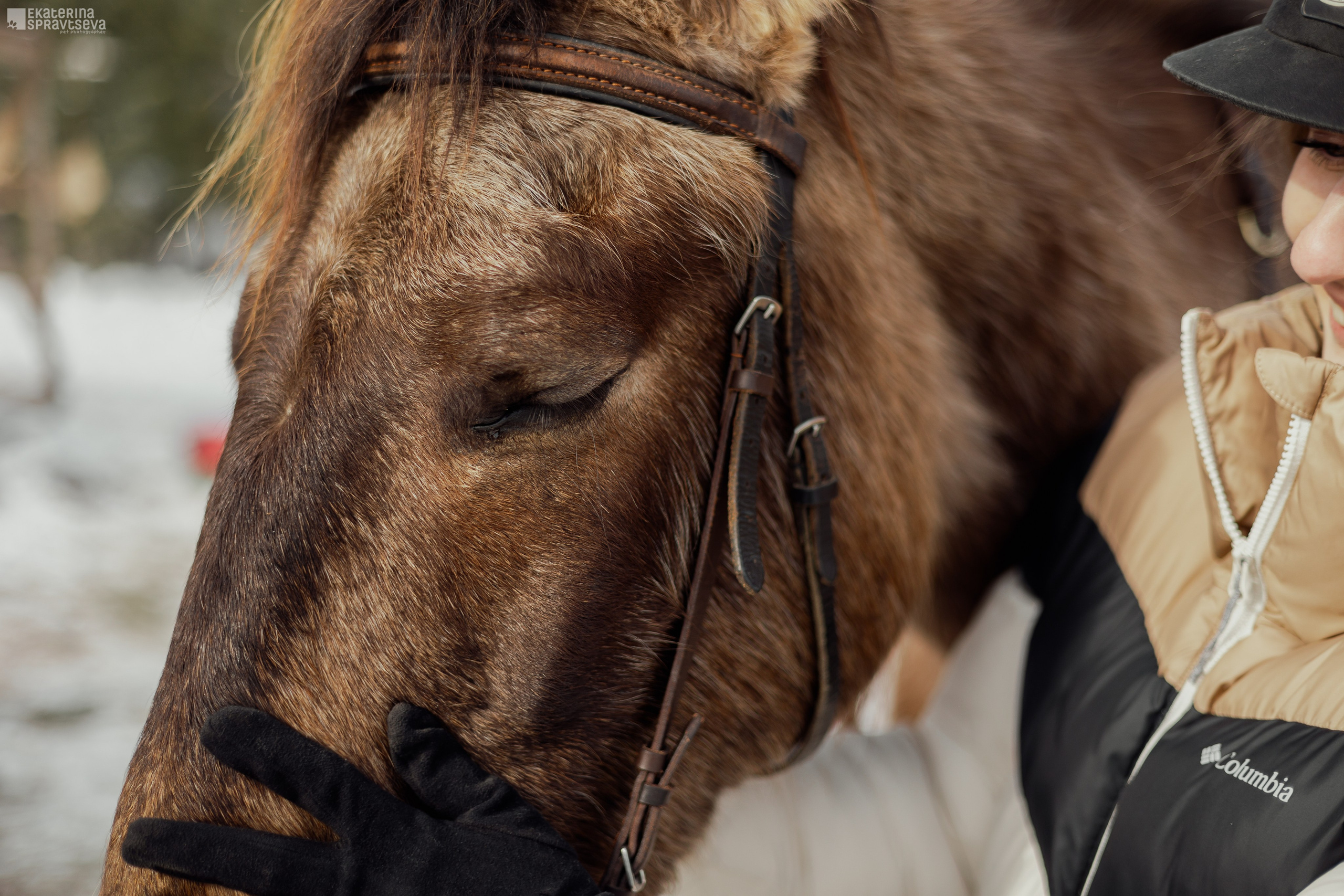 Среди грив и копыт. Фотограф Анималист Екатерина Справцева в Нижнем Новгороде