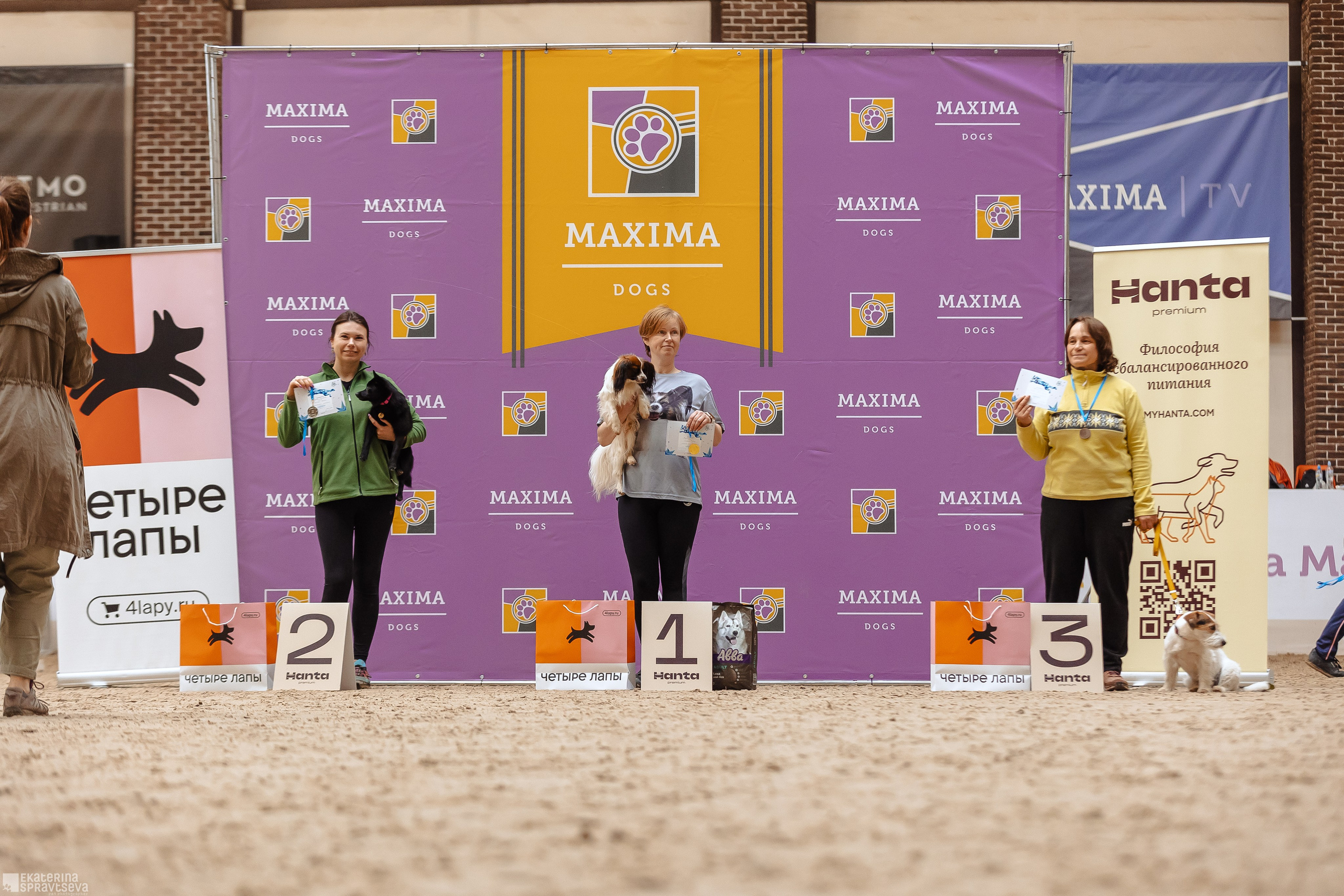 ЧРКФ Аджилити в Максима. Фотограф Анималист Екатерина Справцева в Нижнем Новгороде
