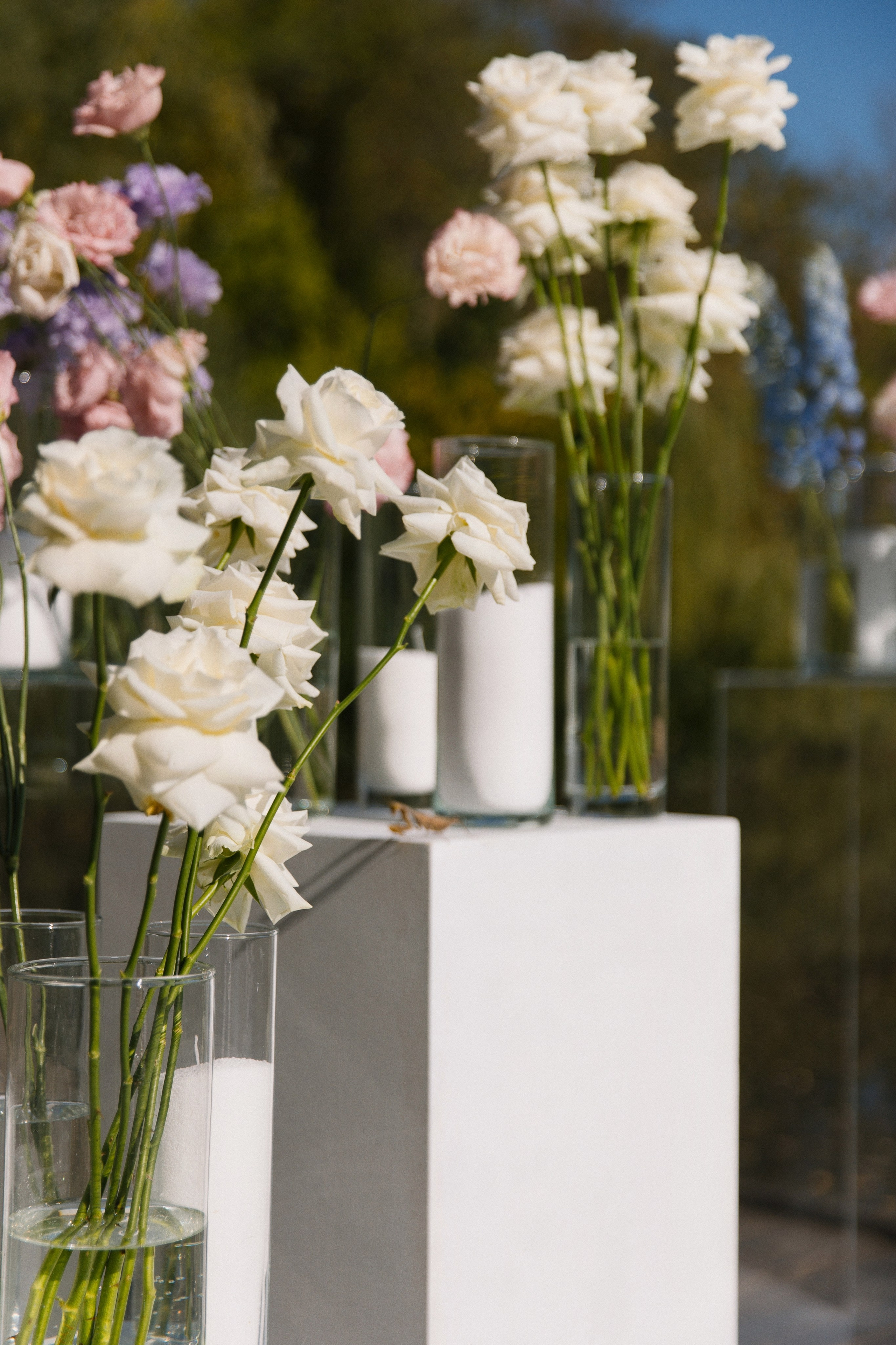 V ❤ A. Syrovatkina_Photographer.ru