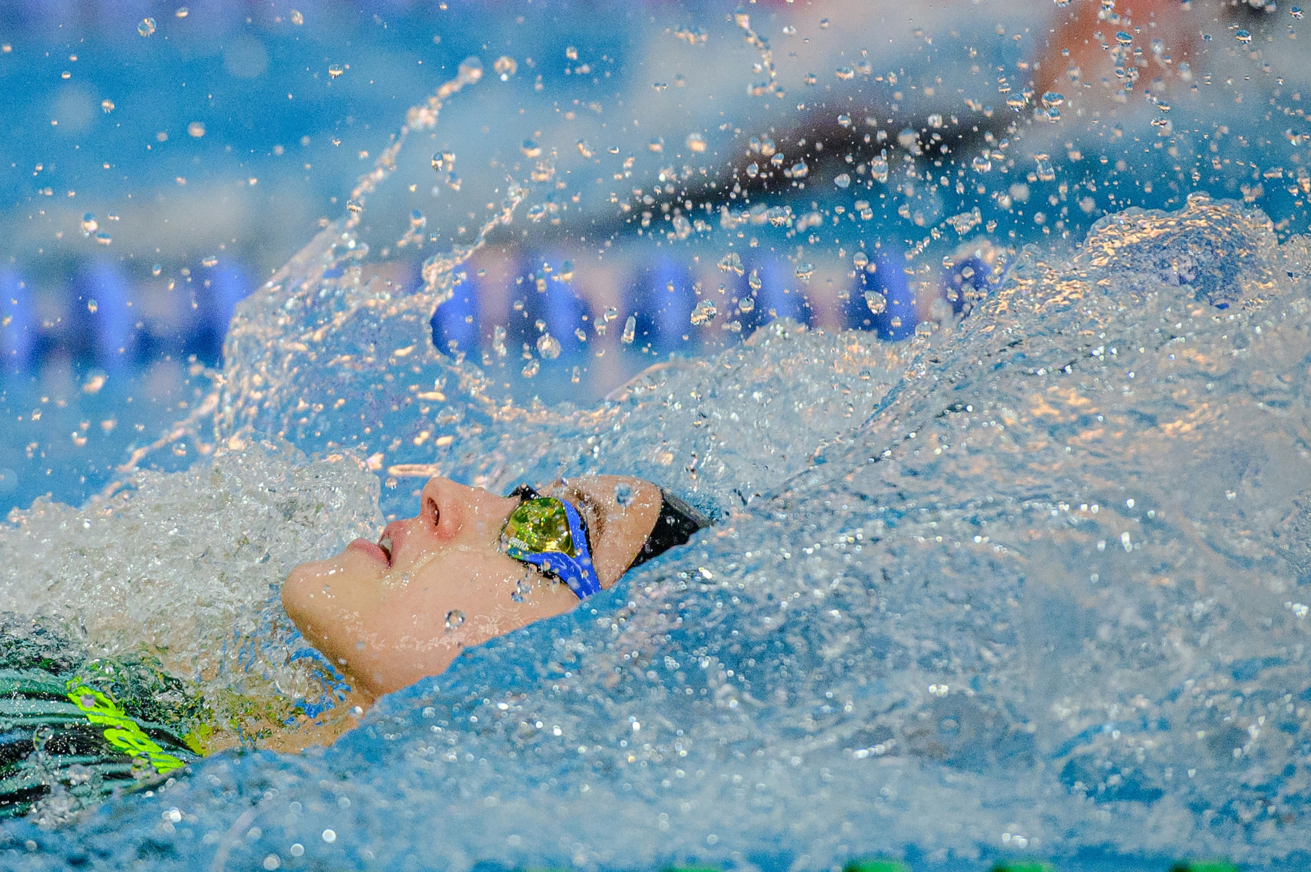 Фотограф СОТНИК ВЛАДИМИР