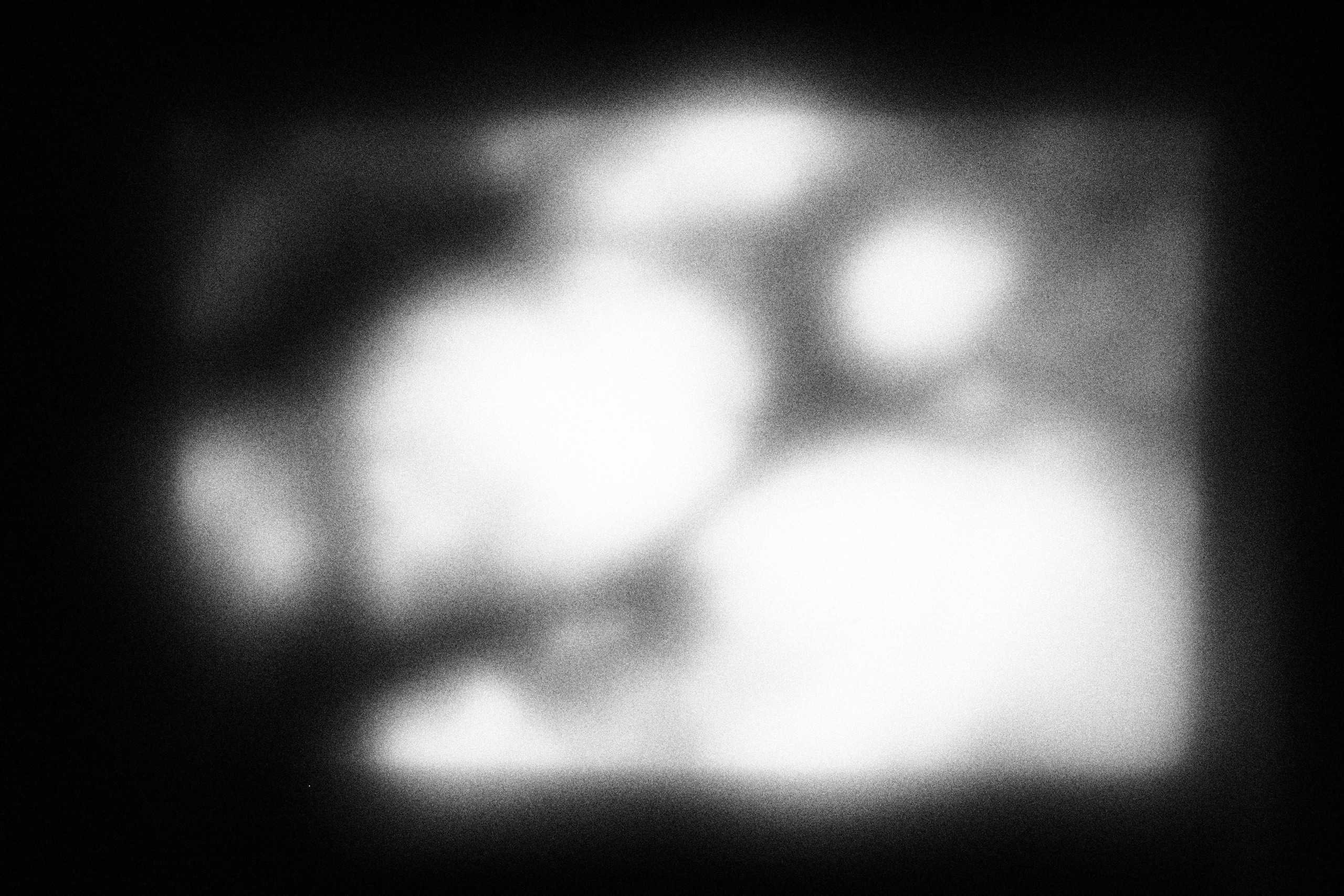 Фотовыставка отменяется из-за отсутствия хороших фотографий