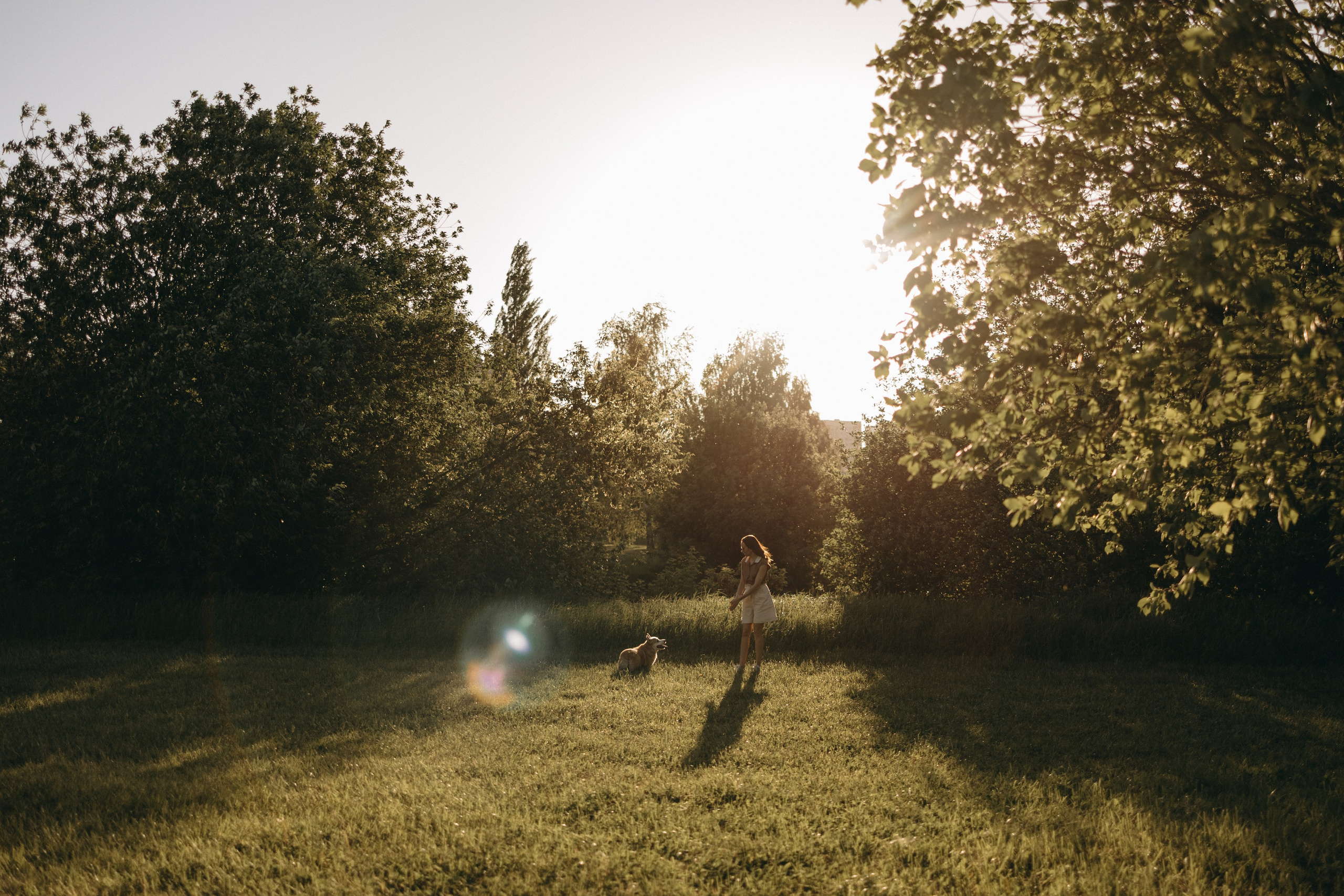 Кристина и Шелби. Фотограф — Анималист | Санкт-Петербург