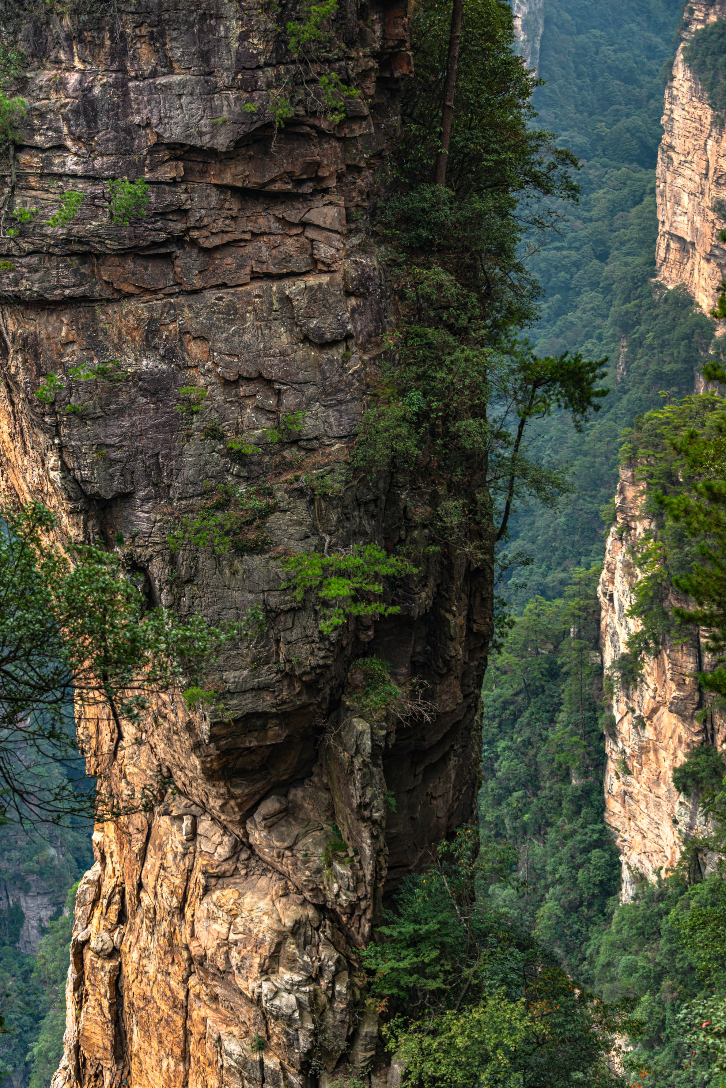 Китай Чжанцзяцзе. Фотограф Лара Кучина