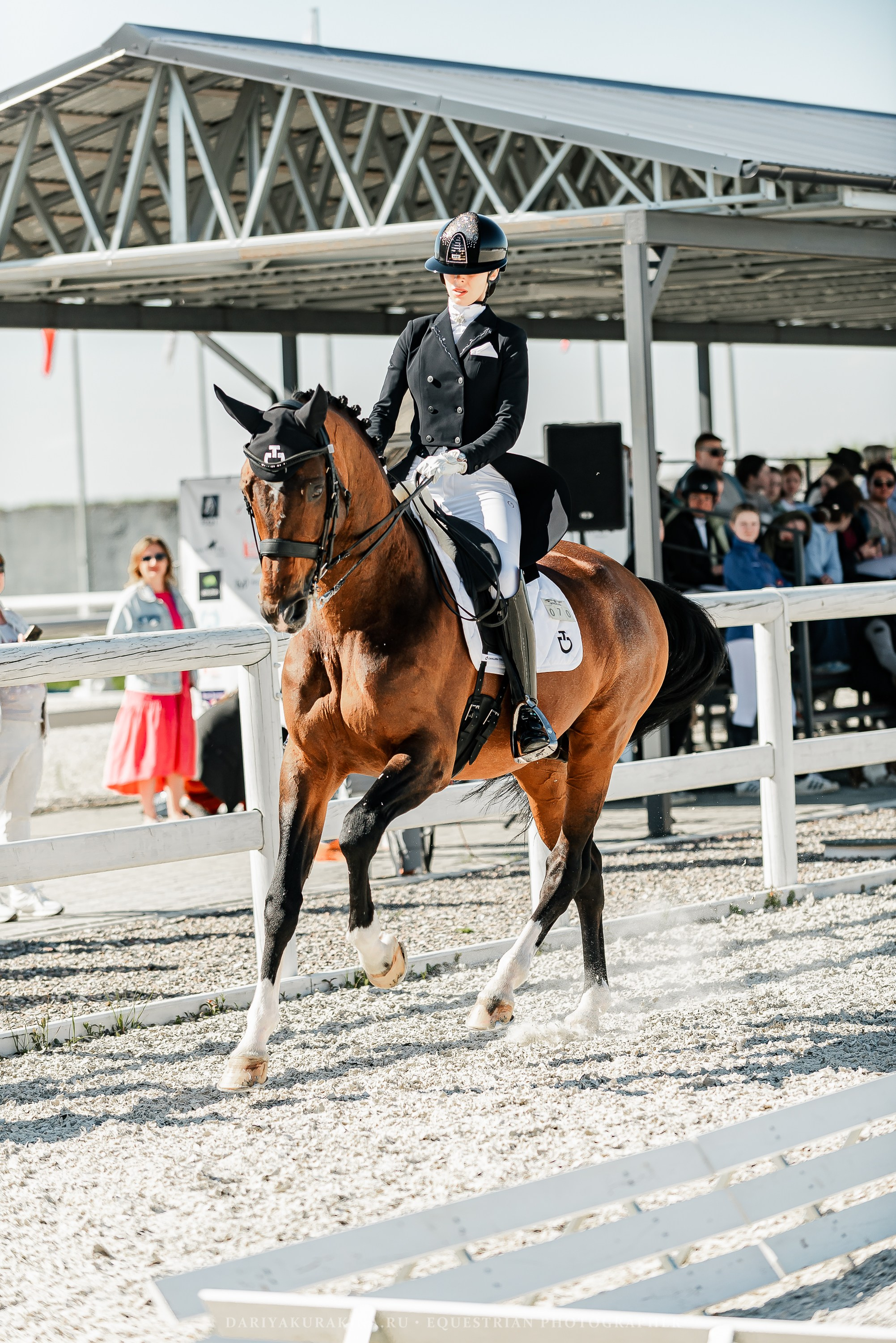 РЕПОРТАЖ МКК ВОЛЬТ «LA TULIPS». Конный фотограф Куракина Дарья • Фотосессии с лошадьми