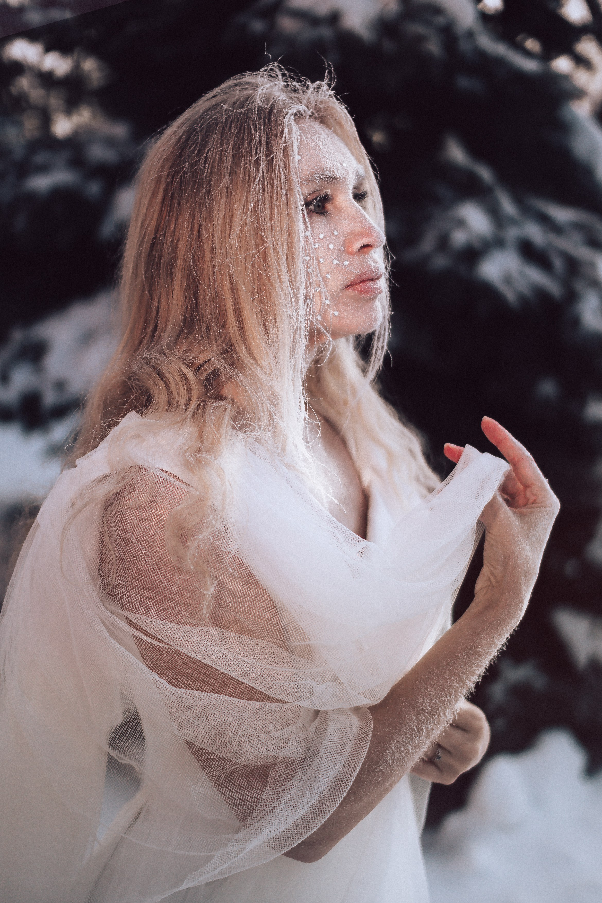 Царевна Лебедь. Светлана Аброщикова