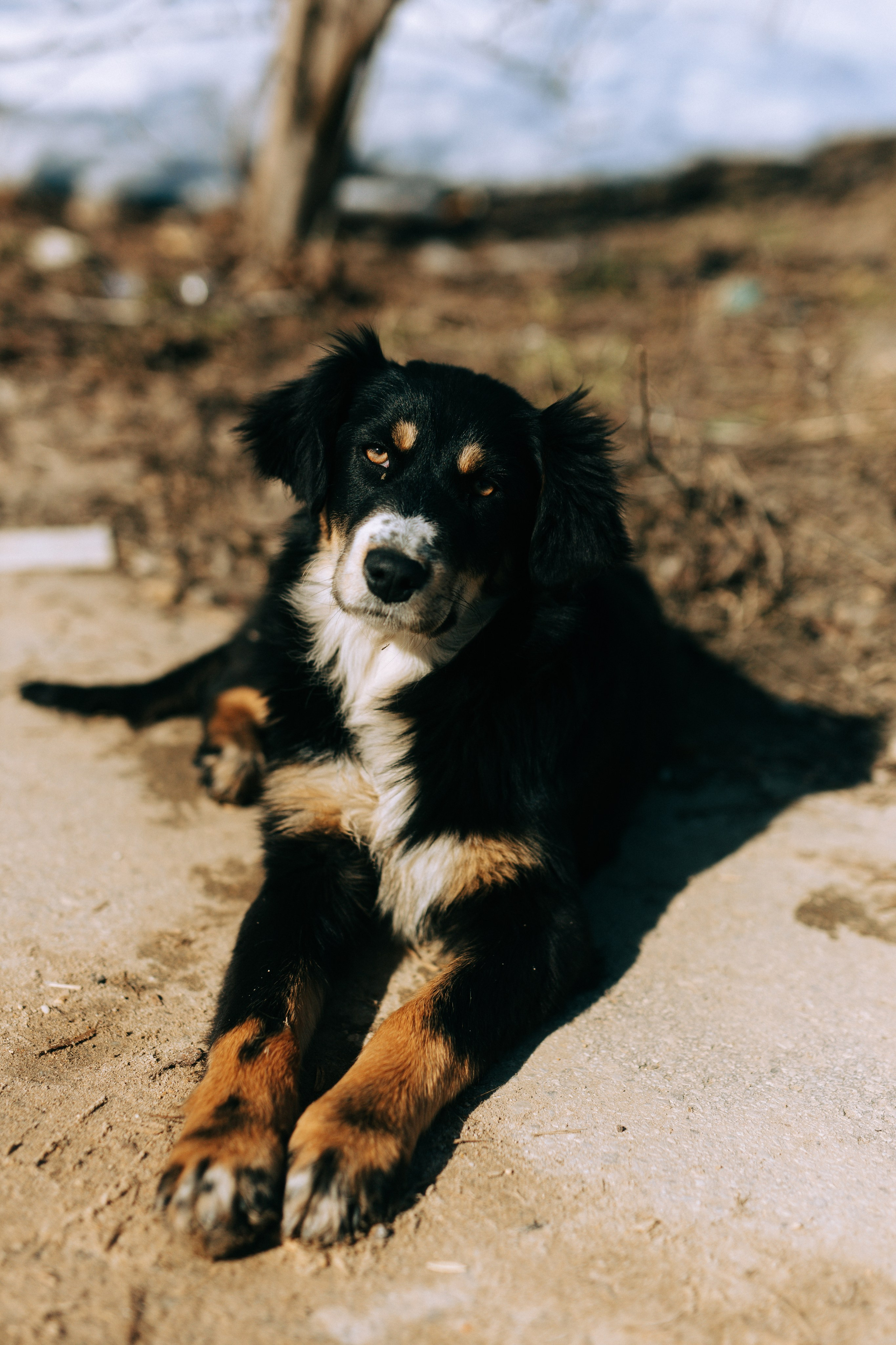 Ефремов. Свадебный и портретный фотограф — Мария Костина