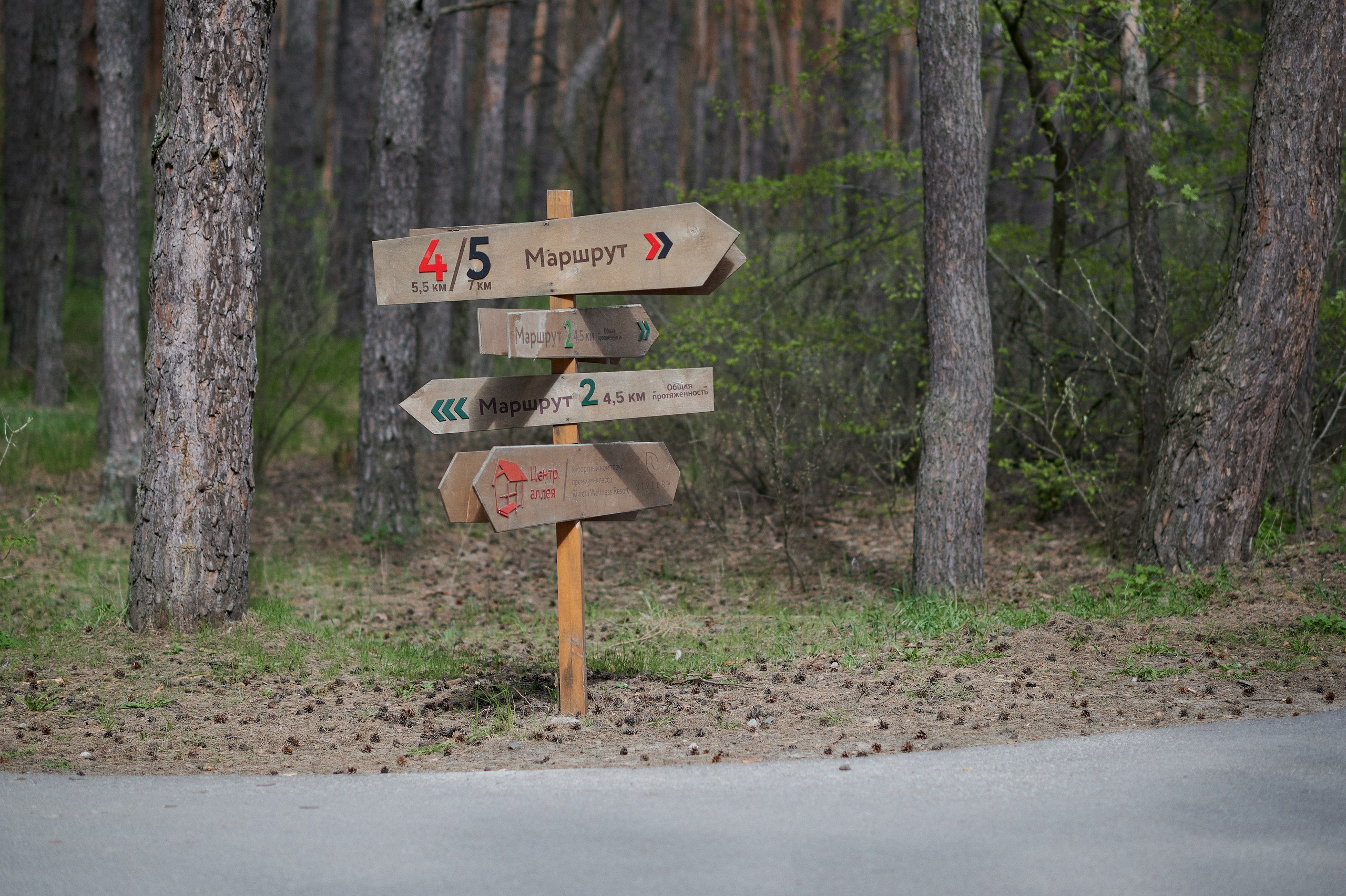 Изделия из дерева. MAAC_GALLERY-компания по производству различных изделий