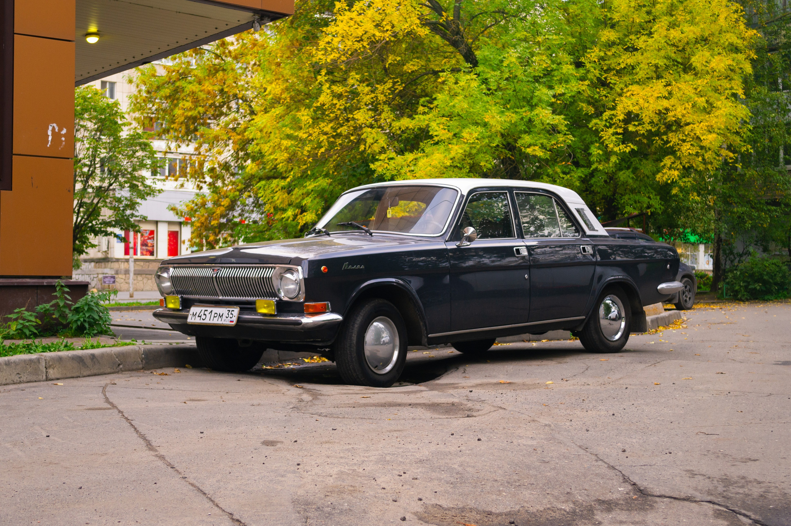 Сентябрь 2025. Den Mirov — Фотограф, Музыкант