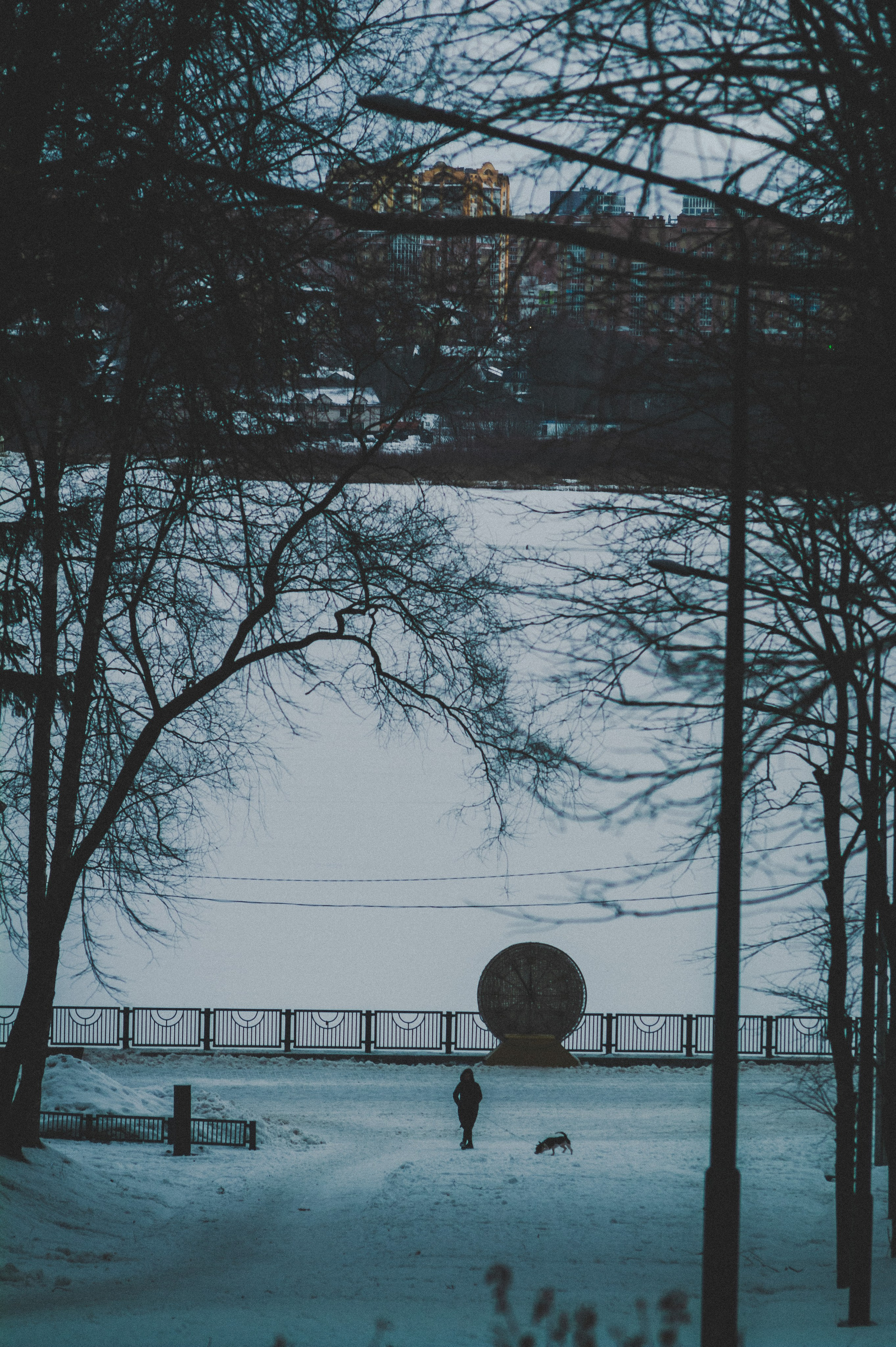 Colleague. Den Mirov — Photographer, Musician