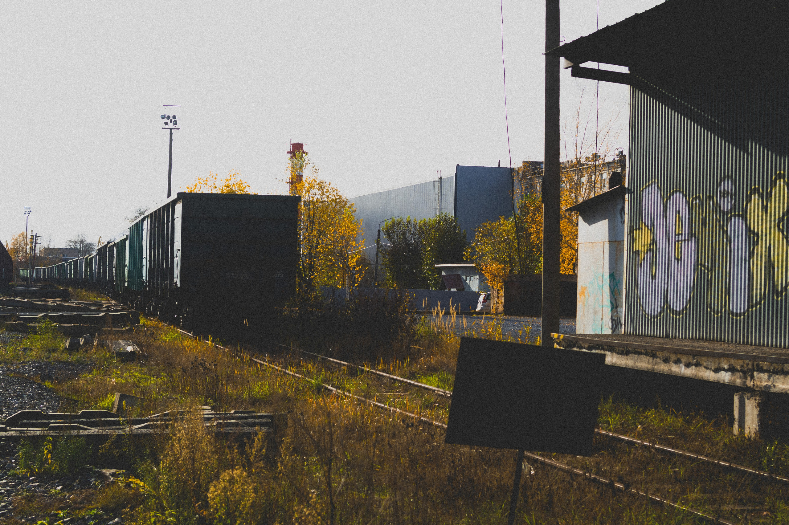 Октябрь 2025. Den Mirov — Фотограф, Музыкант