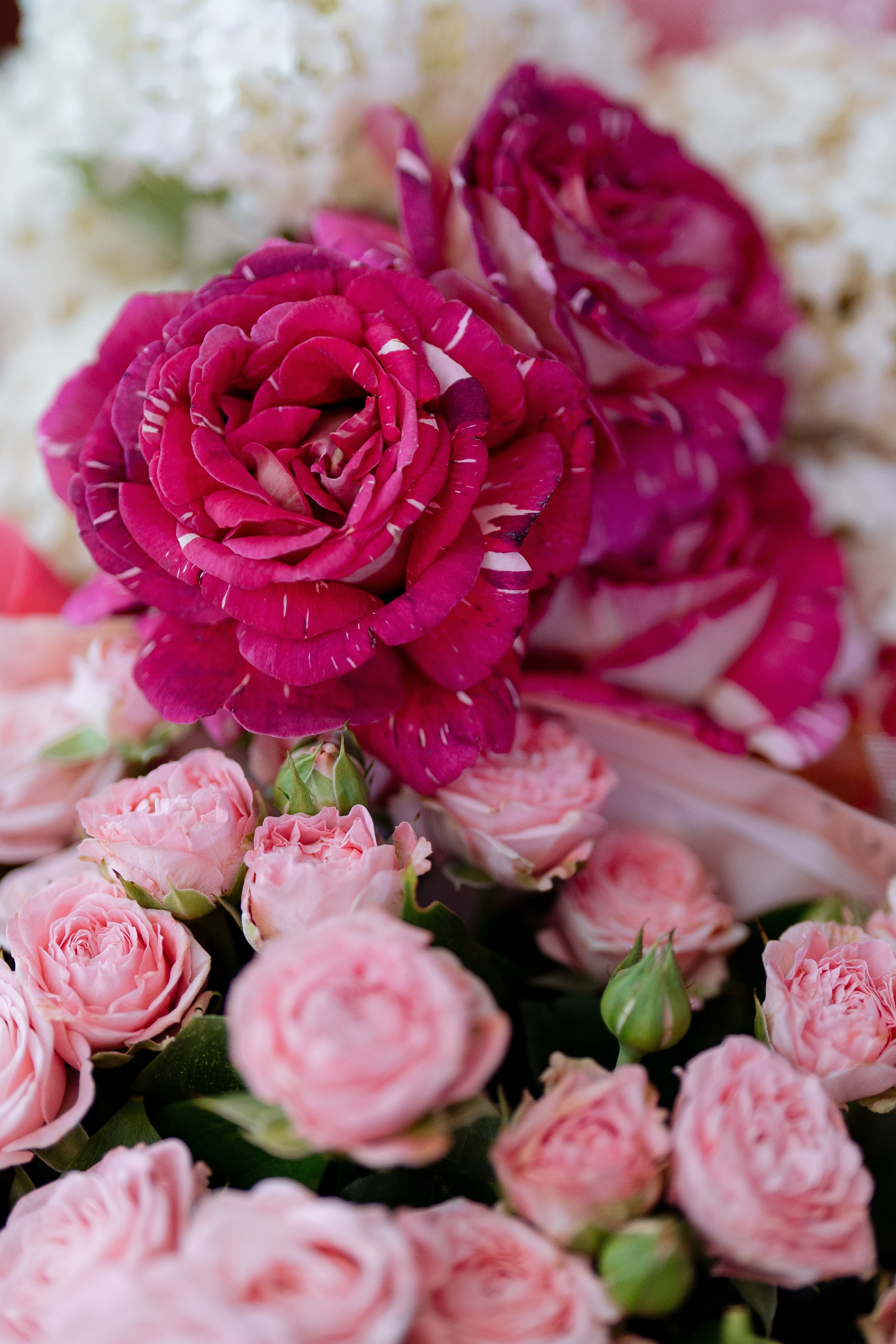 Виктор и Юлия