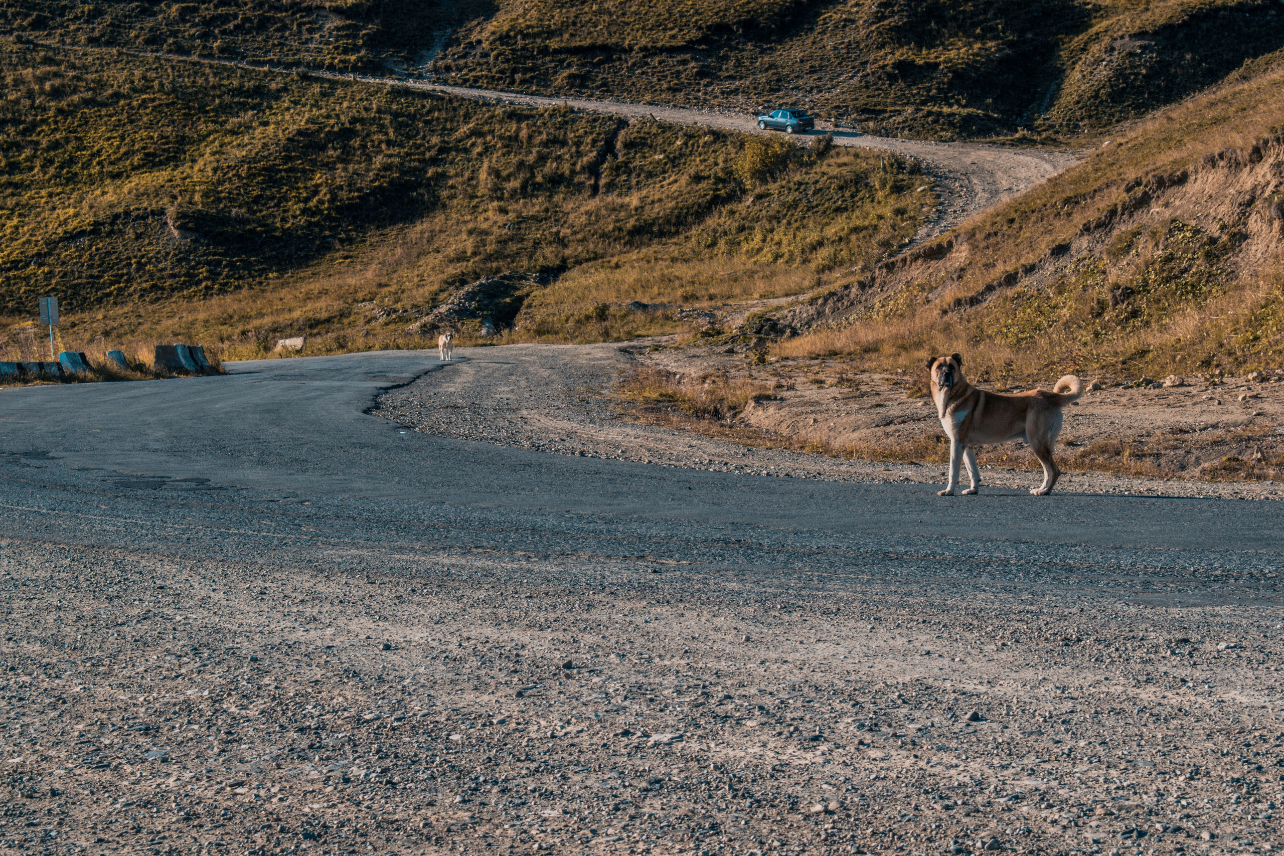Пейзажная фотография. Сергей Ильин | Фотограф