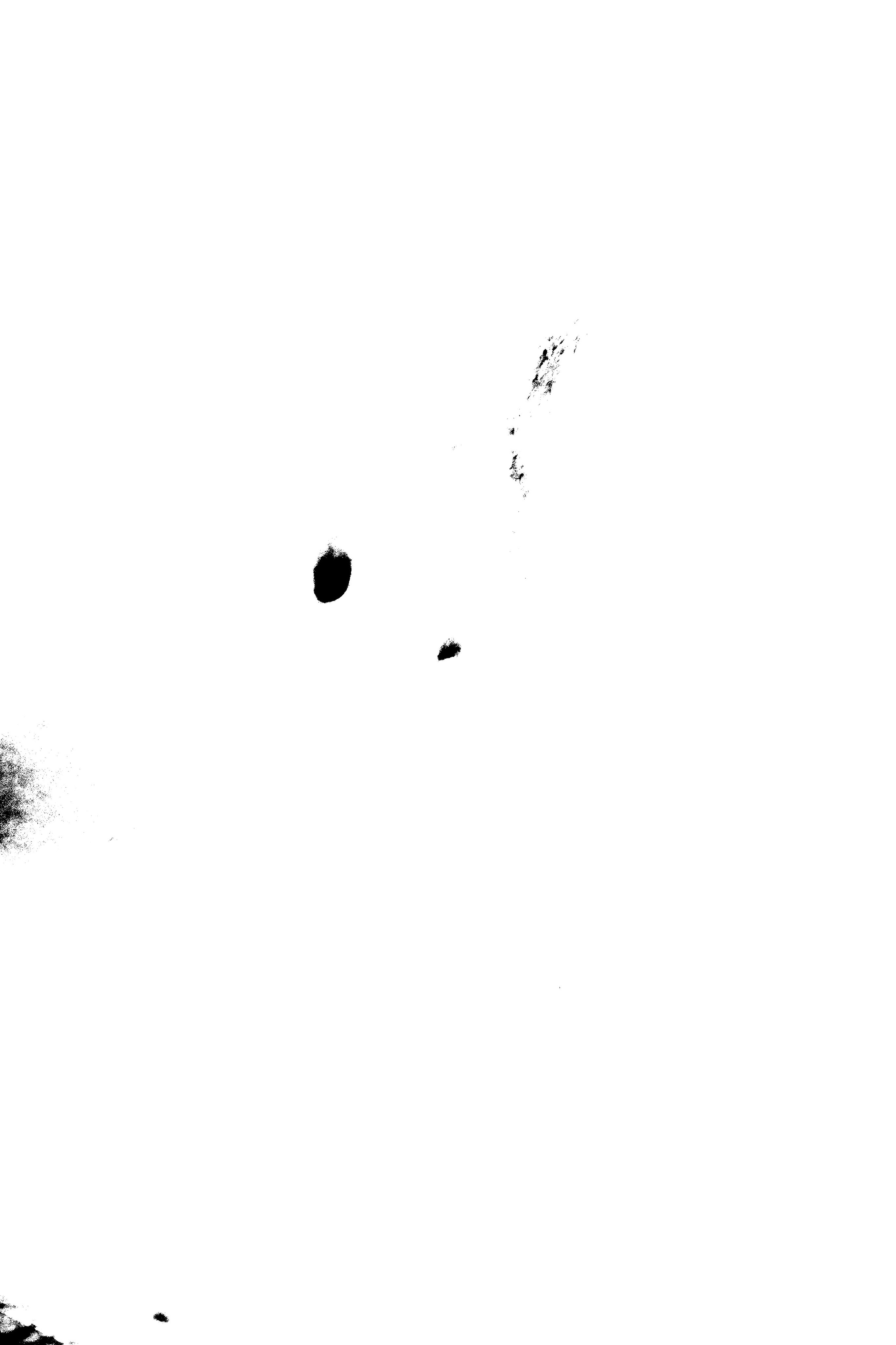 Серия кадров «Городская сумасшедшая». Семейный и свадебный фотограф Губкинский и Ставрополь