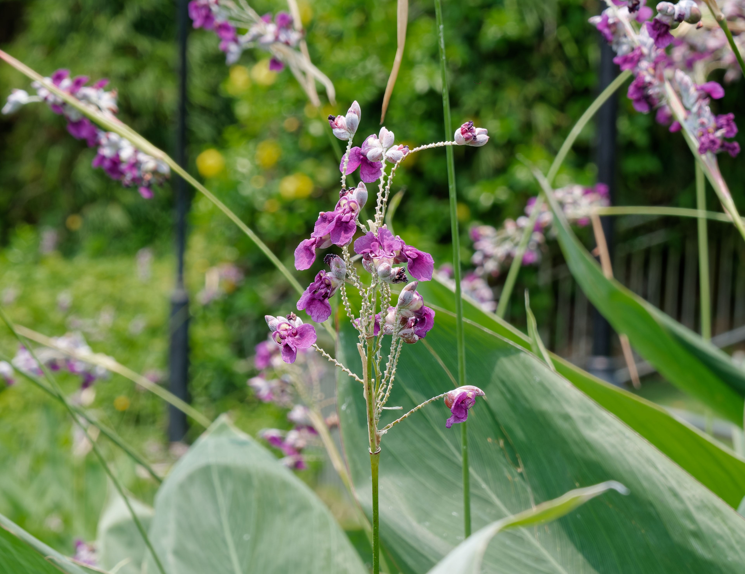 Хайнань 2026, Центр буддизма Наньшань на Хайнане. Фотопрогулки по Миру