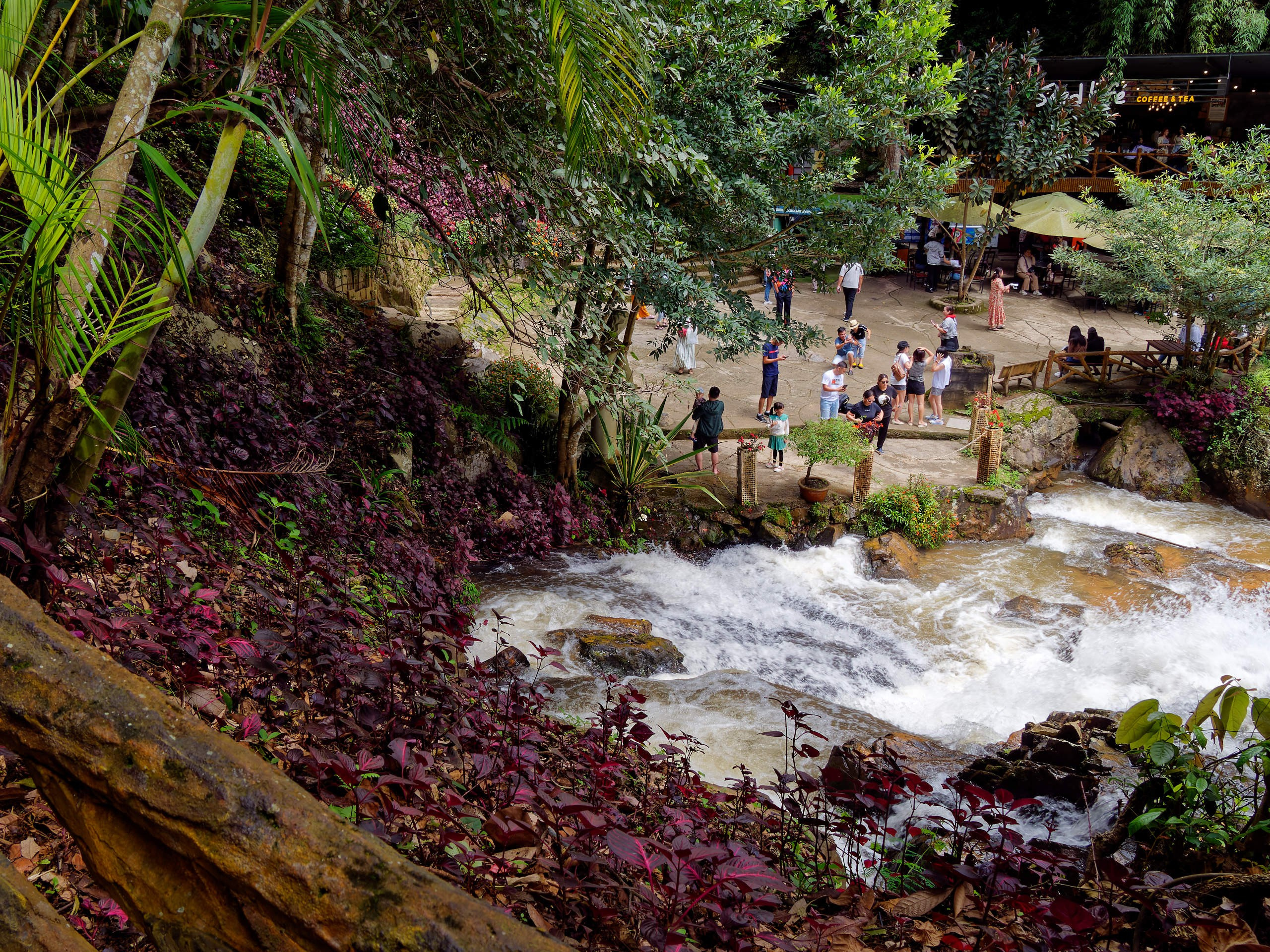 Далат 2023. Избранные фотографии