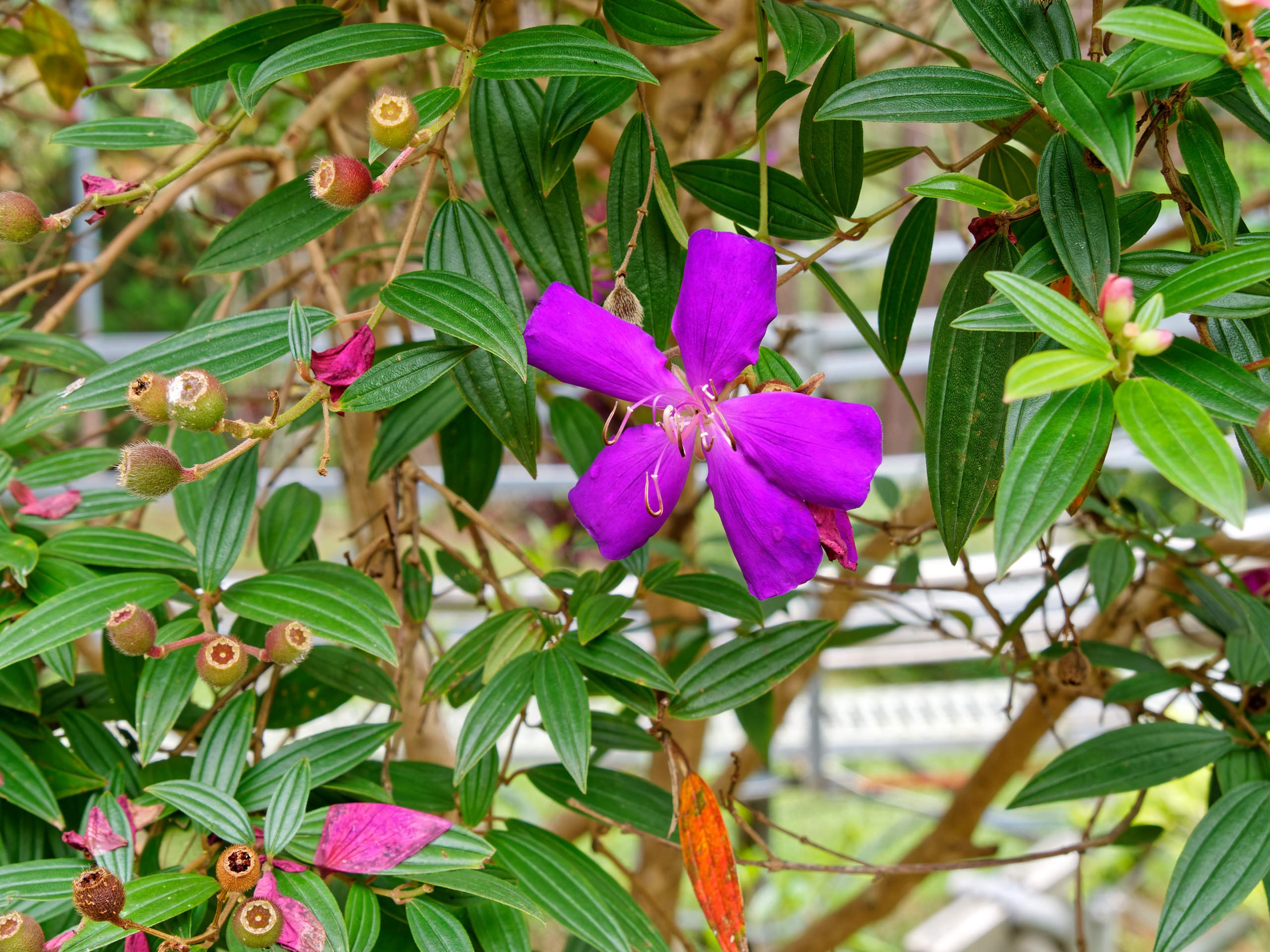 Далат 2023. Избранные фотографии