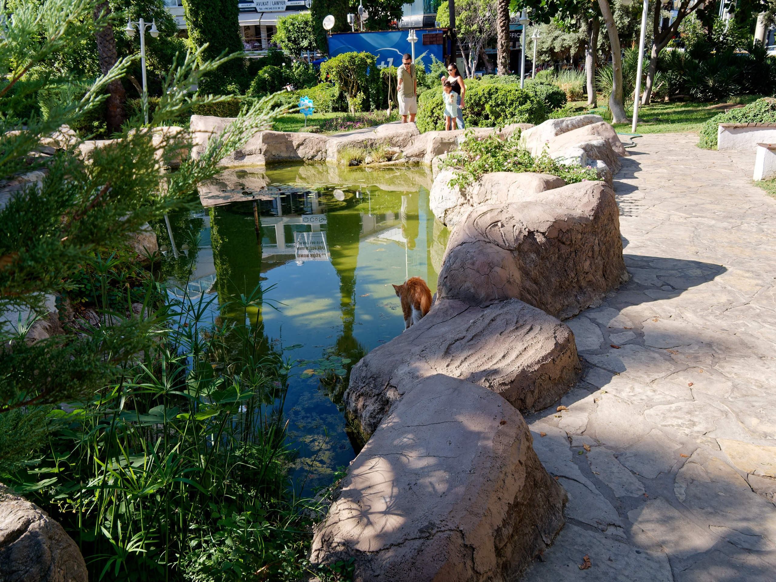 Алания 2025, город, стрит-фото. Избранные фотографии