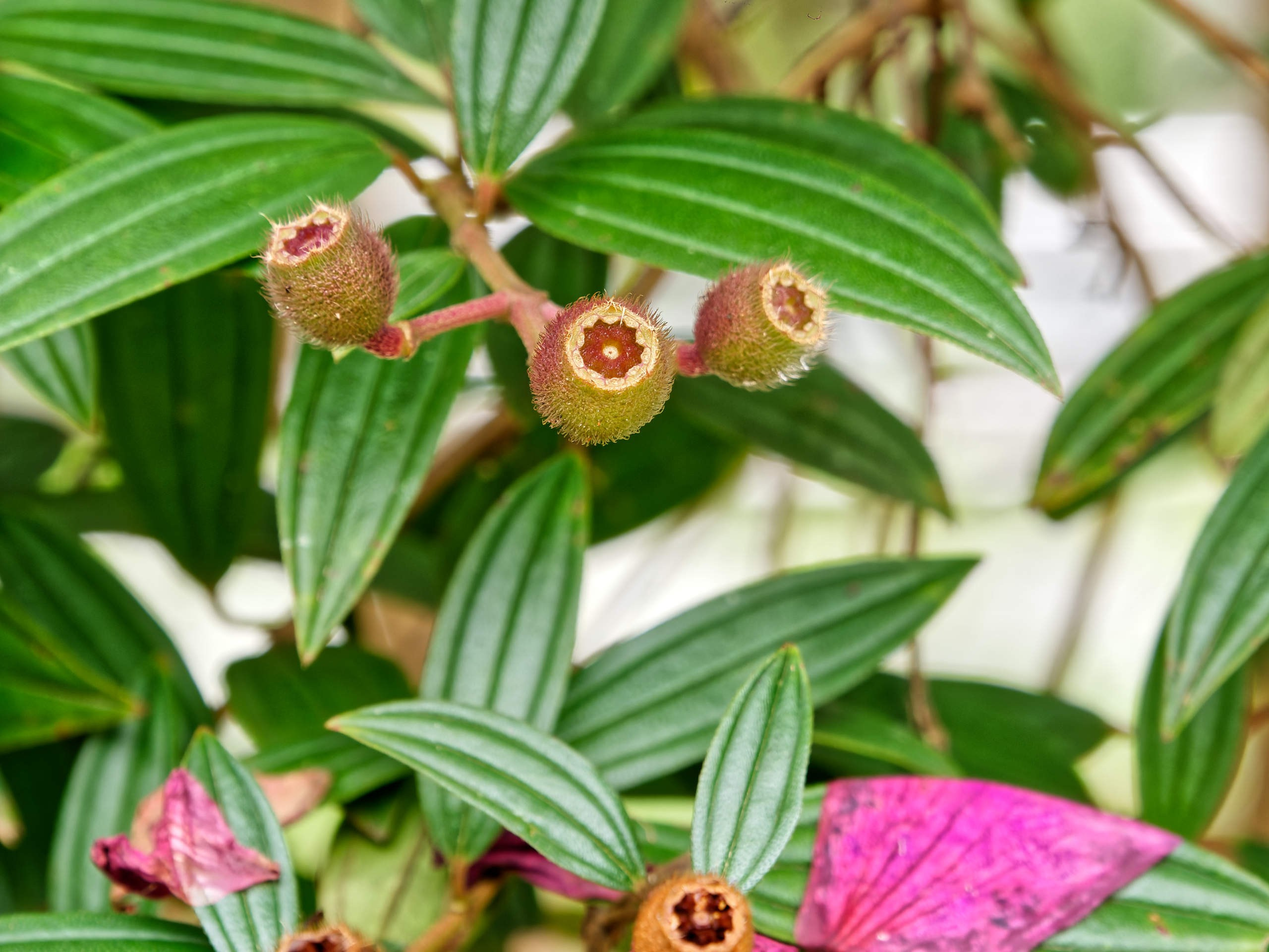 Далат 2023. Избранные фотографии