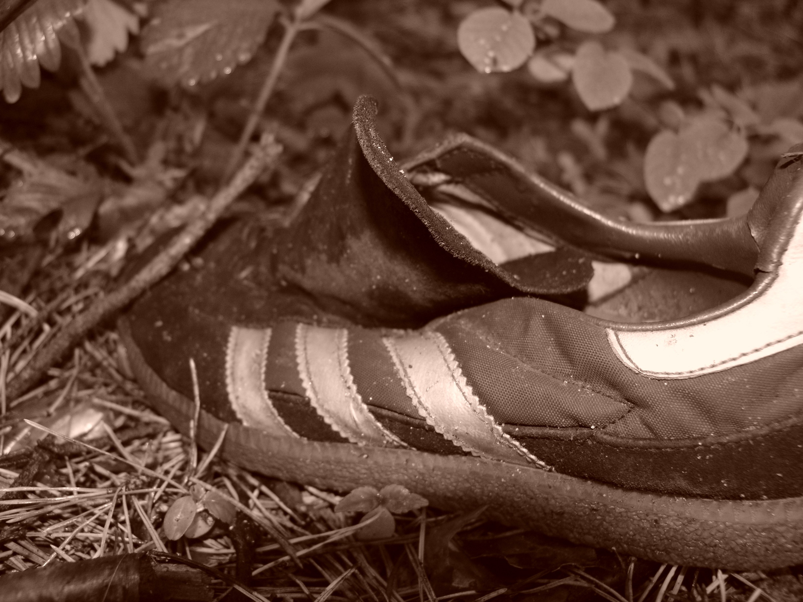 Приезд КС 2005. Заставка