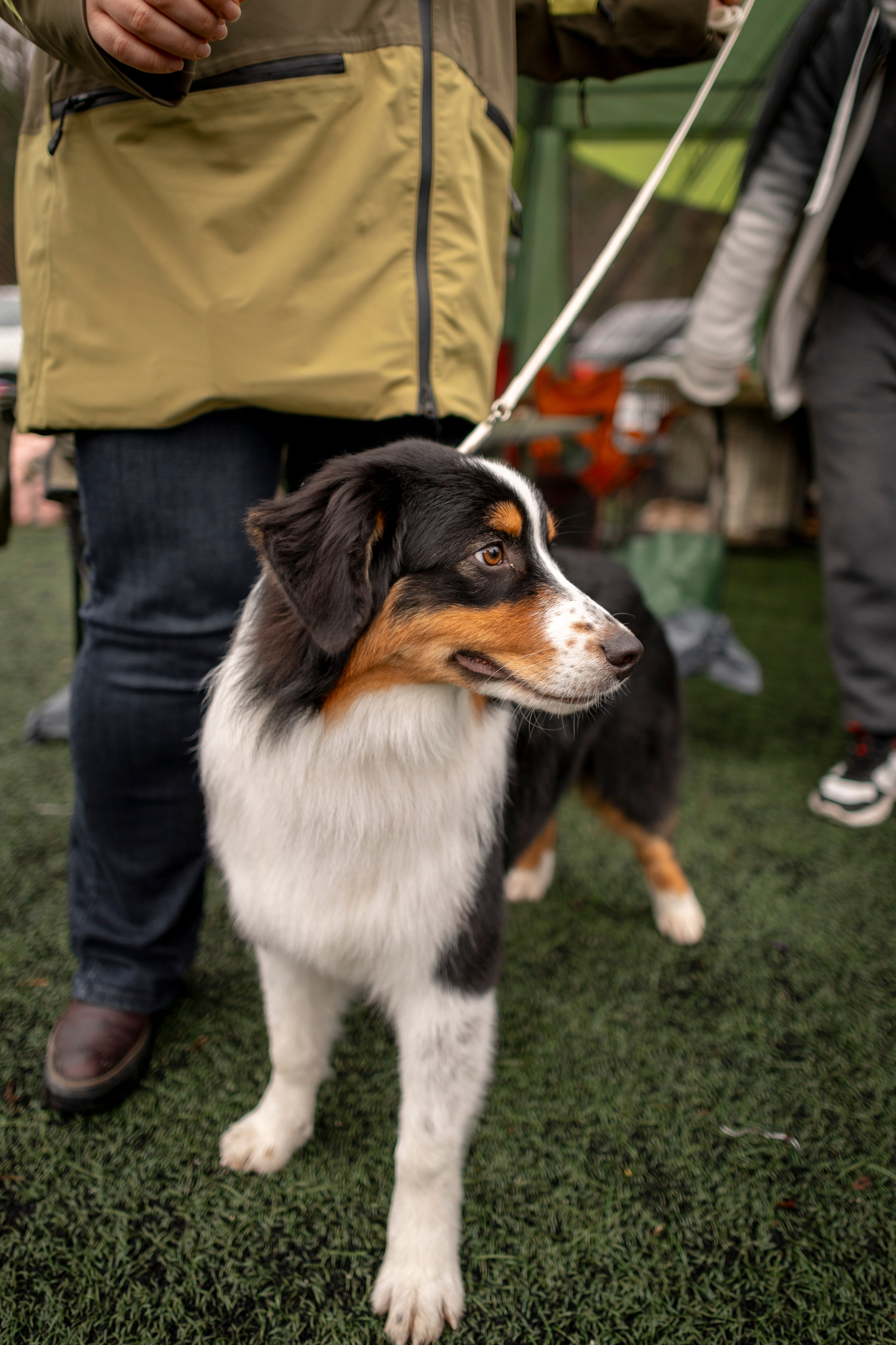 Выставка 17.12.23. Ирина Голомб|Фотограф-анималист в  Сочи и Калининграде