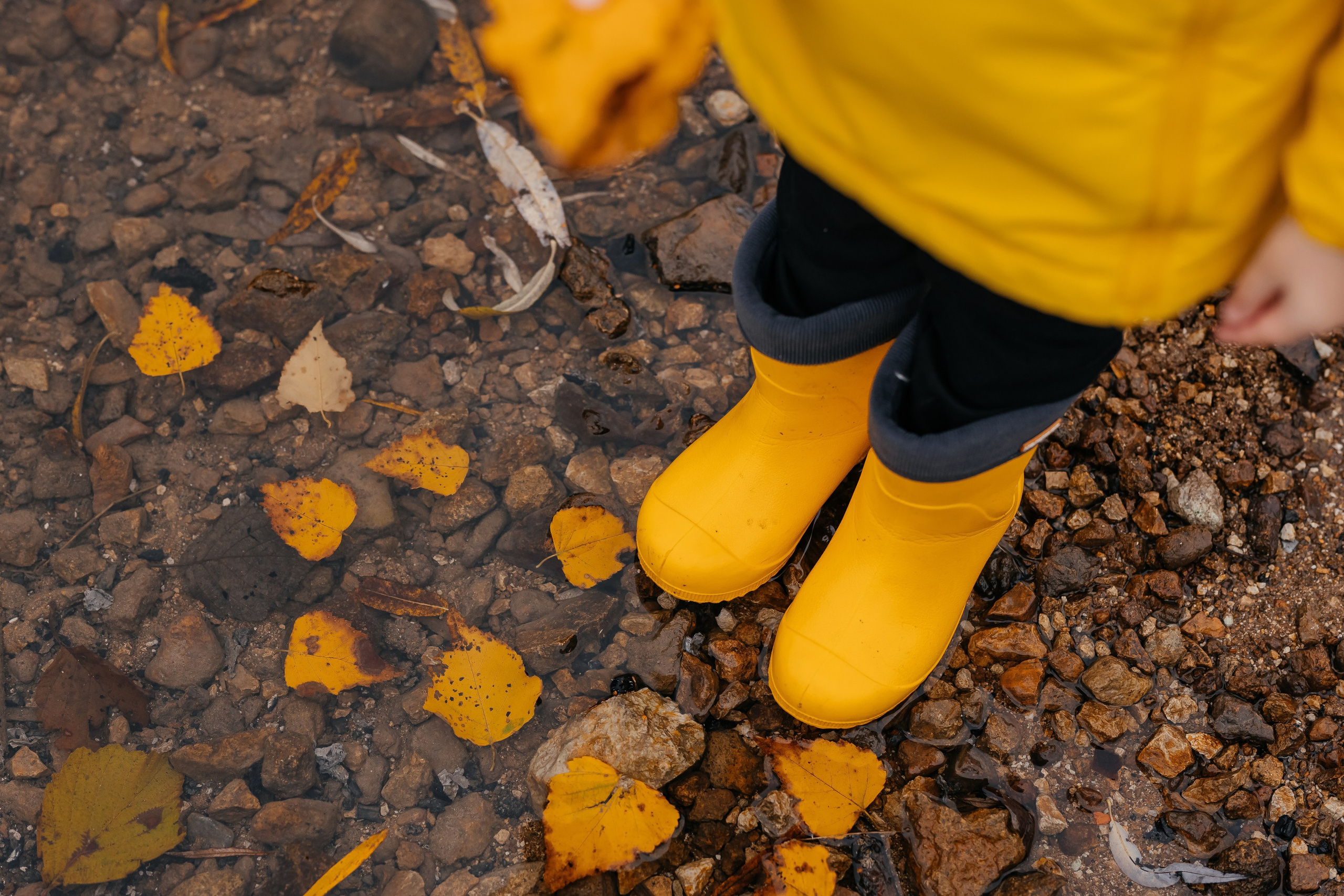 Детские. Фотограф Облучье