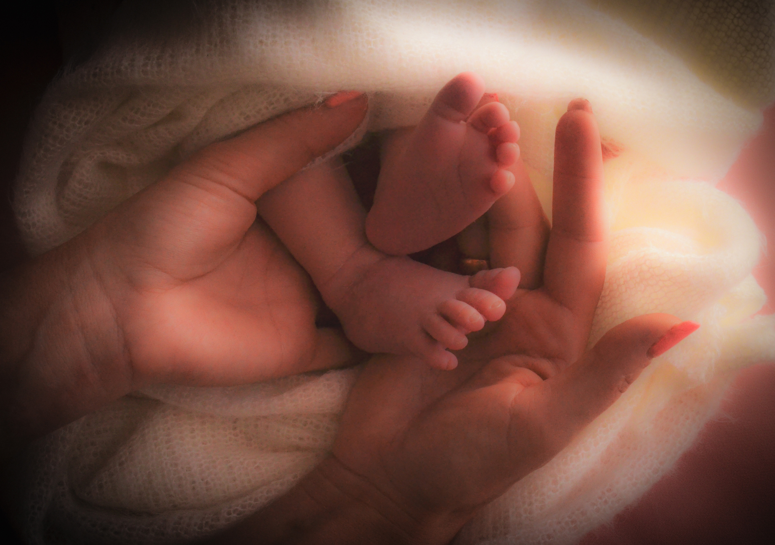 Отзывы. Photograper Israel/фотограф Израиль. ALINA TARAN