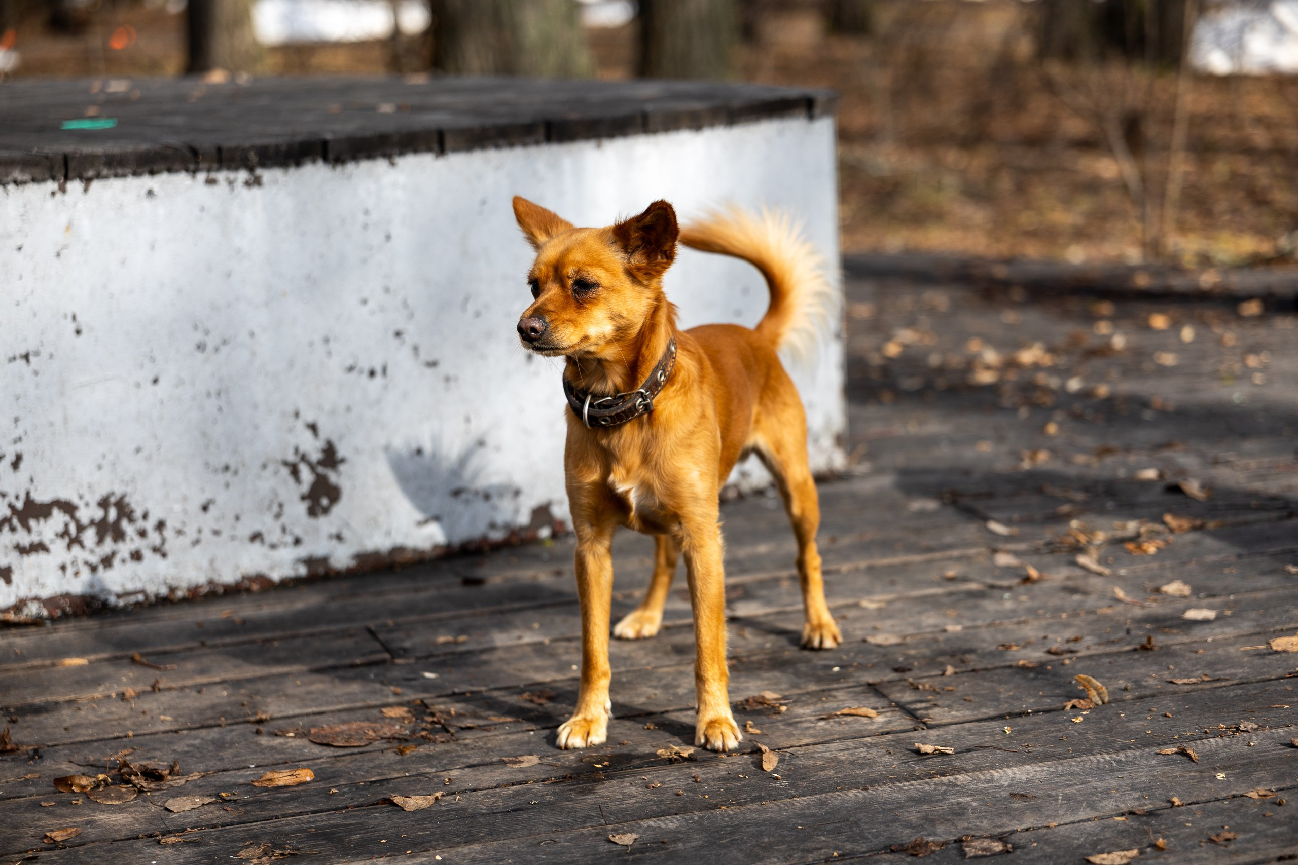 Беговой клуб 5 вёрст Зеленодольск. 11 апреля 2026. Спортивный, репортажный и портретный фотограф в Казани Алексей Горячев