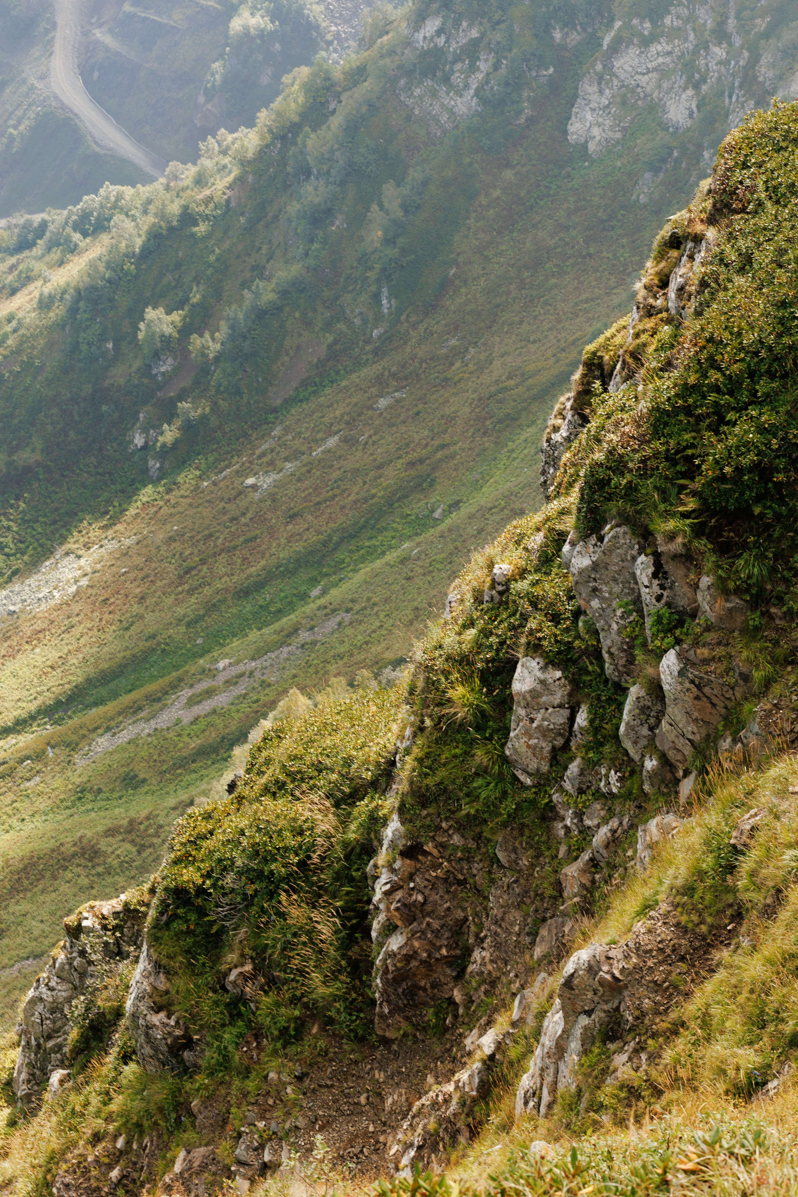 Wild trail — Rosa. Портретный и концертный фотограф в Москве Тугарин Александр