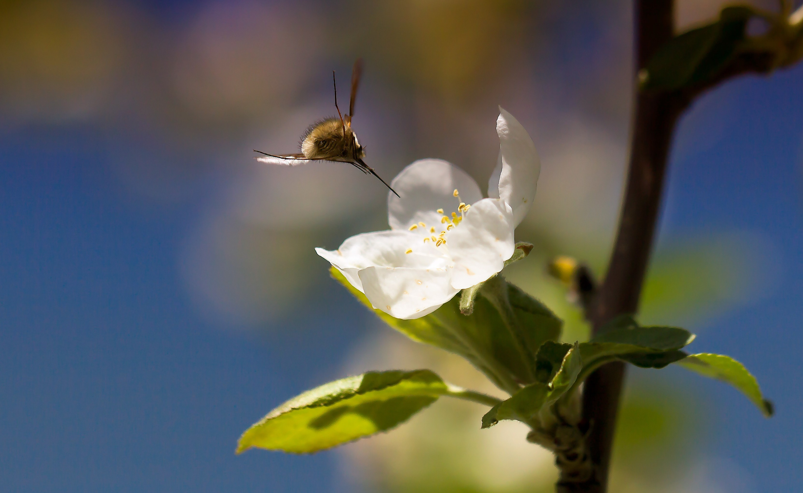 Макс По — фото и видео съемки любого формата