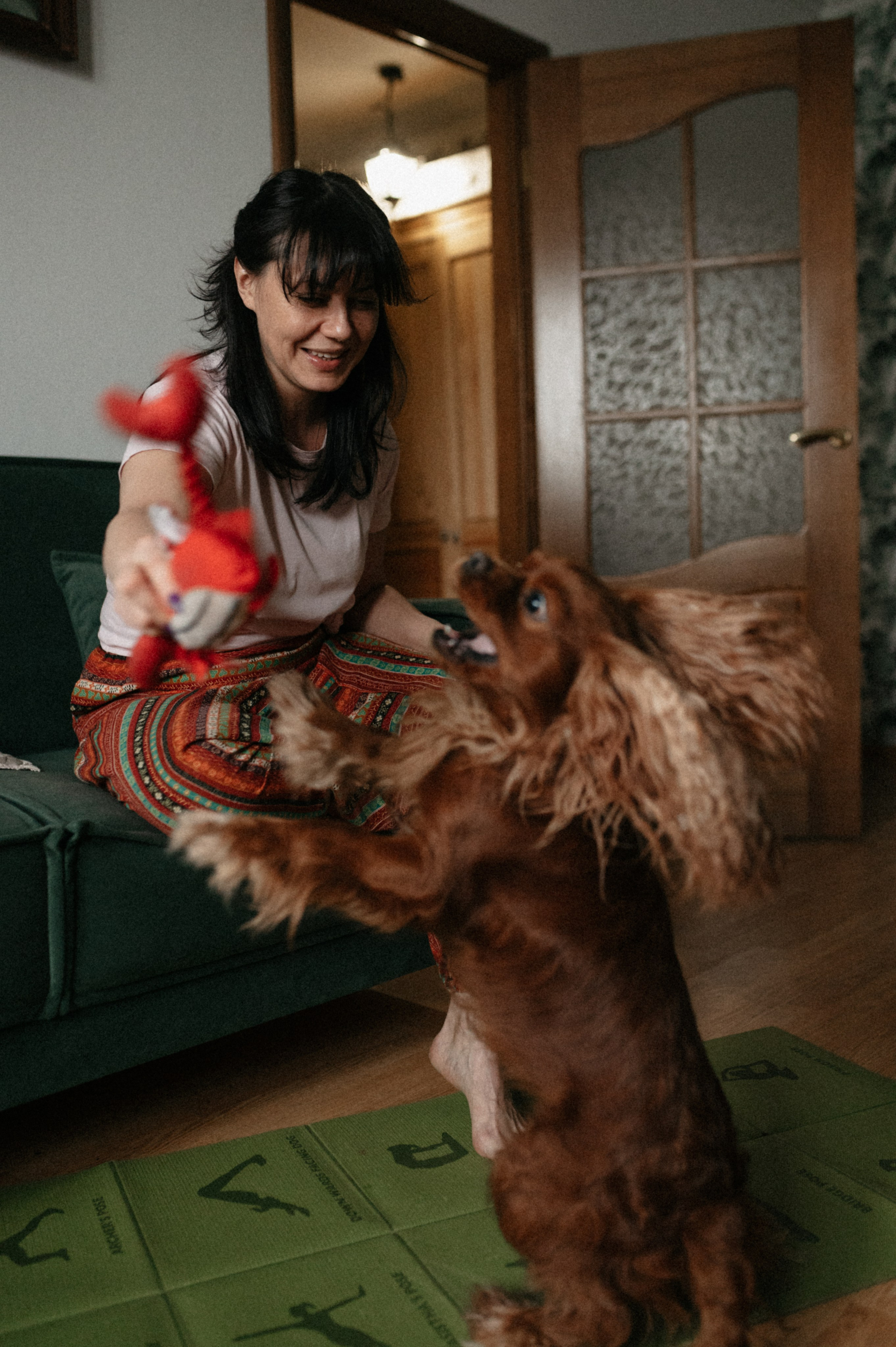 Оля и её меховая банда. Фотограф анималист в Москве Ольга Агушева