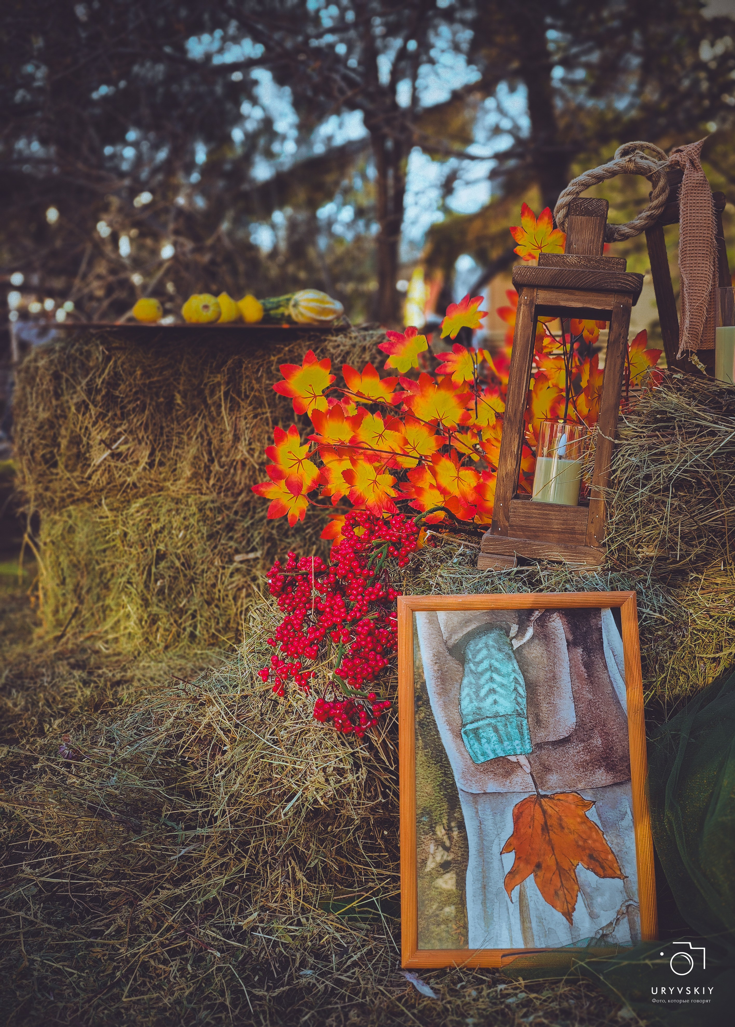 Bellini Осенний маркет. Игорь Урывский. Фотограф Красноярск